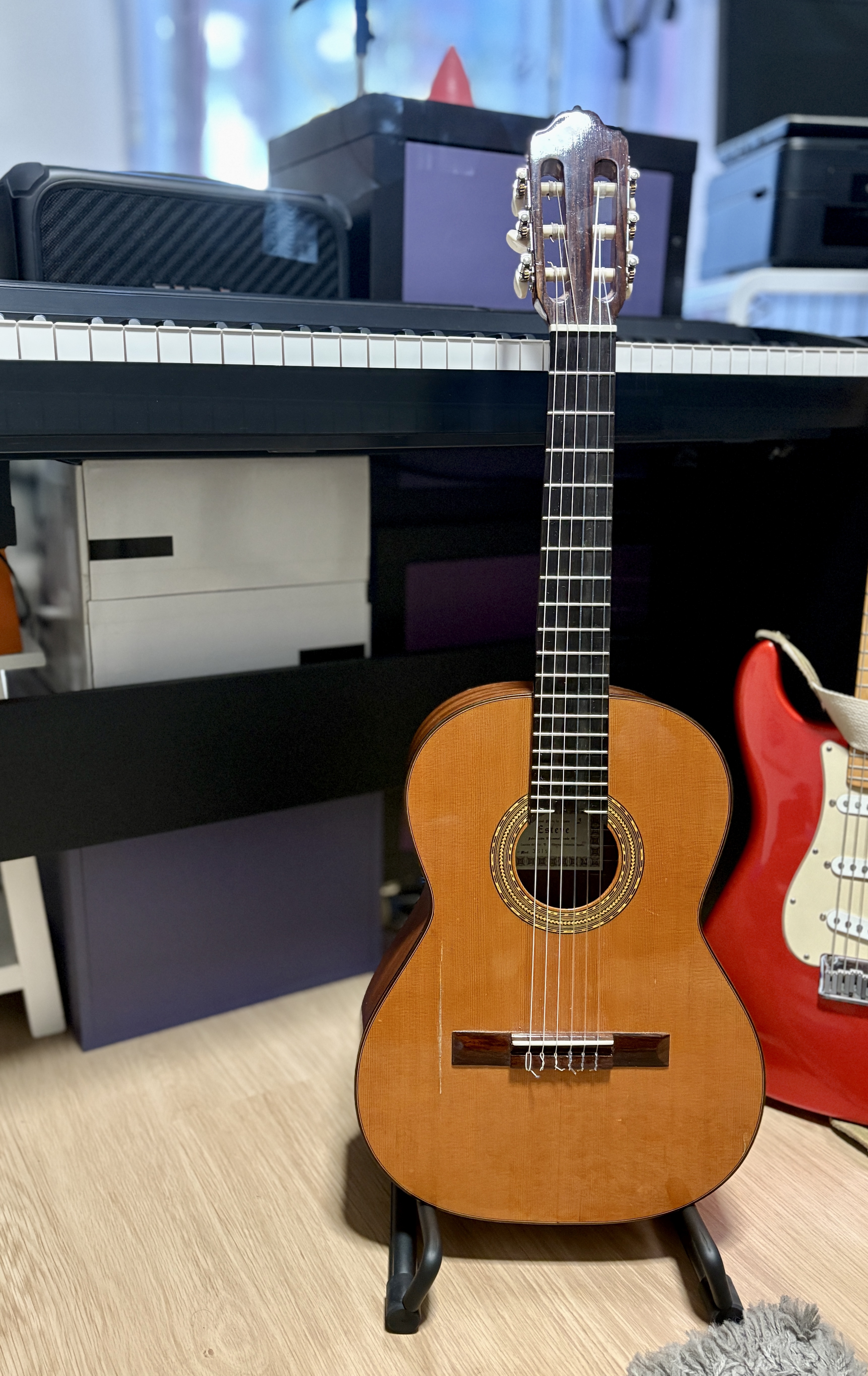 Guitare ESTEVE 3ST58