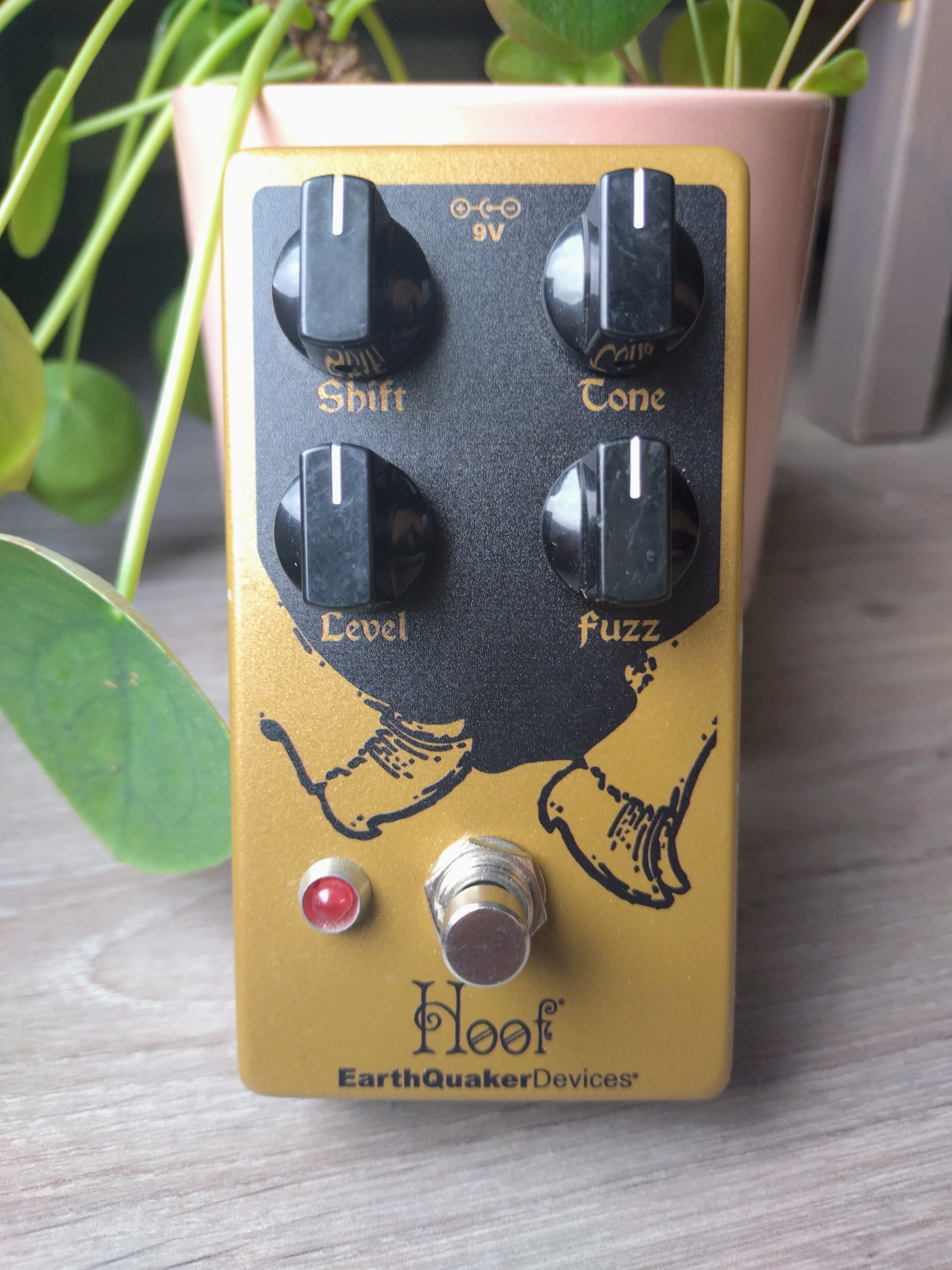 Hoof V2 Earthquaker Devices