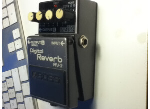 Boss RV-2 Digital Reverb (75061)