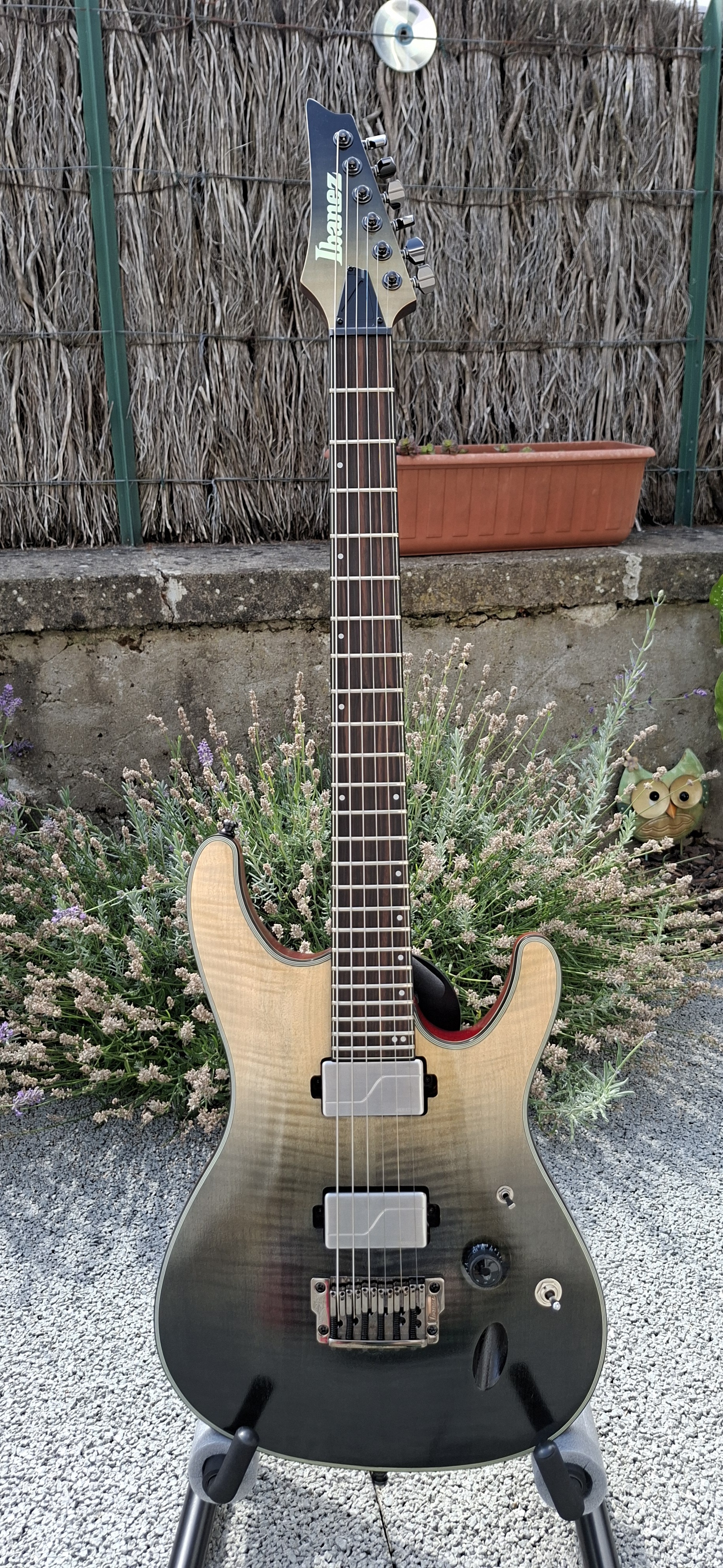 Ibanez Axion Label S61AL micros Fishman Fluence Modern