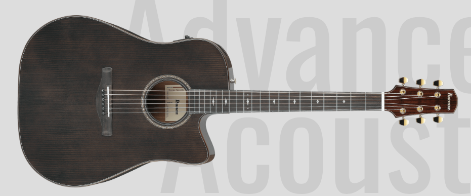 Ibanez AAD361CE : AAD361CE
