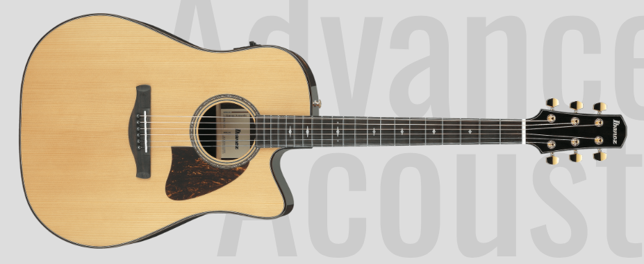 Ibanez AAD381CE : AAD381CE