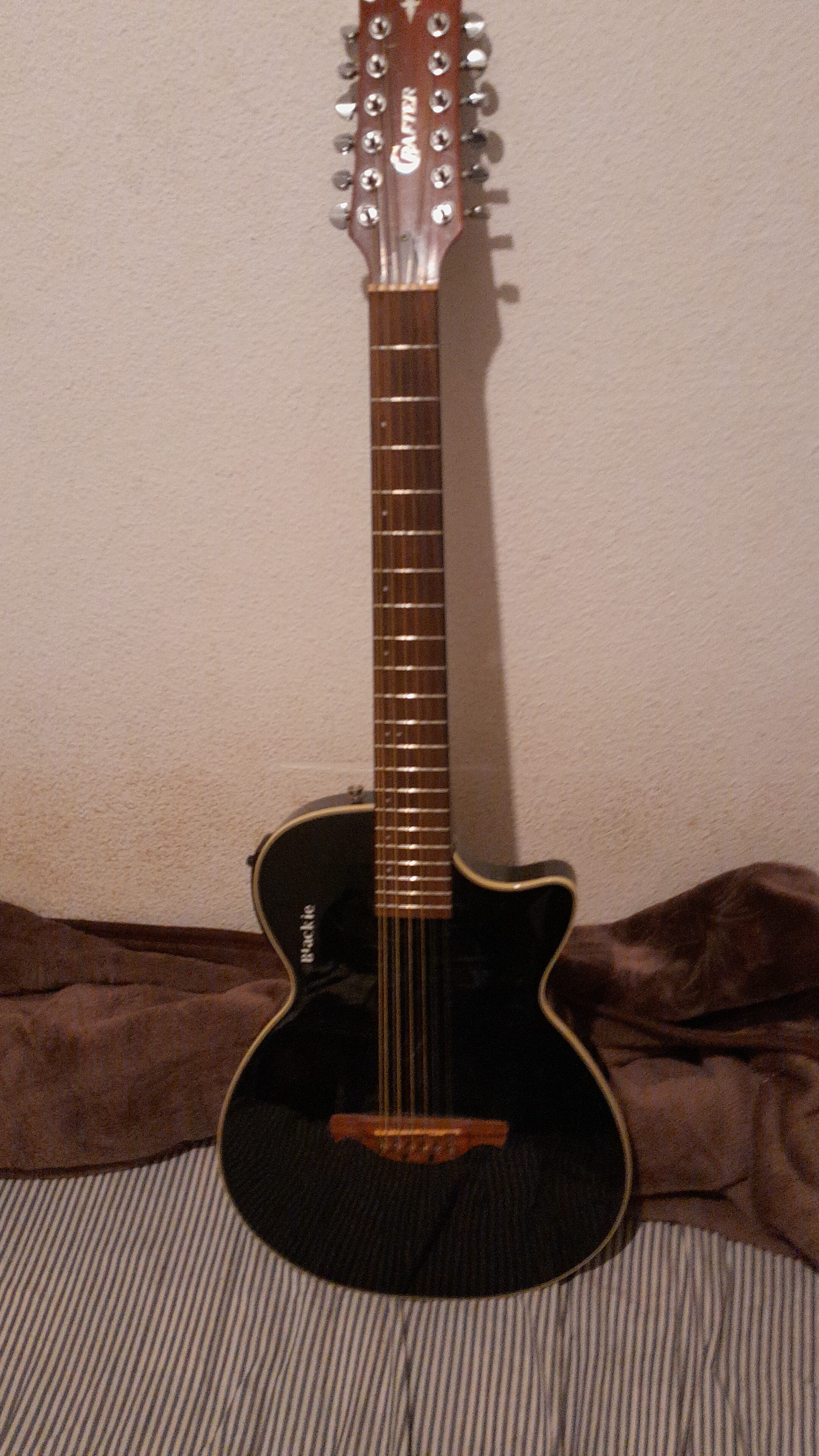 Vends guitare électrique 12 cordes