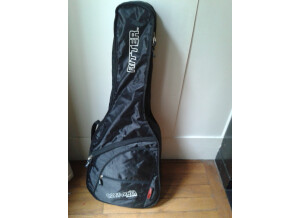 Cort earth 200 natural