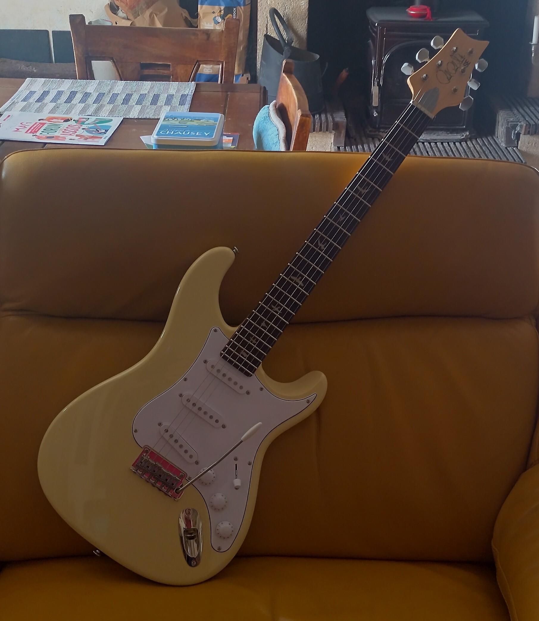PRS SE Silver Sky Moon White en état neuf