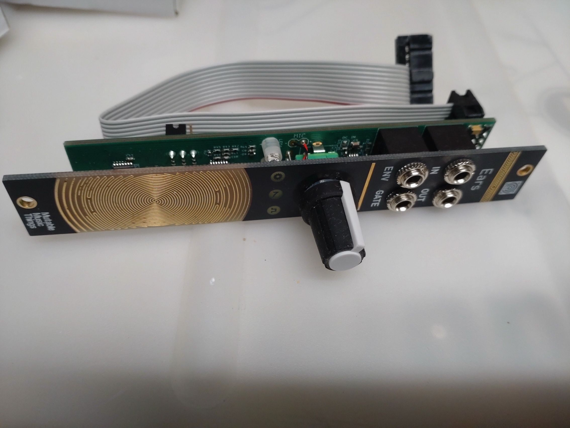 Mutable Instruments Ears (12035)