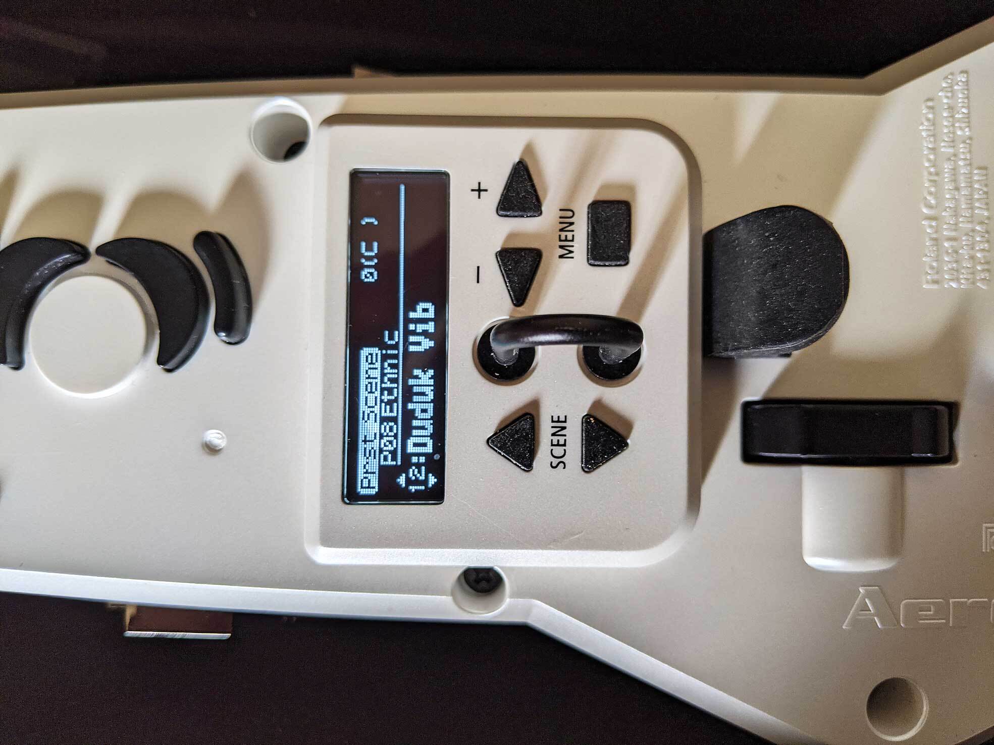 Roland Aerophone AE-20 (98291)