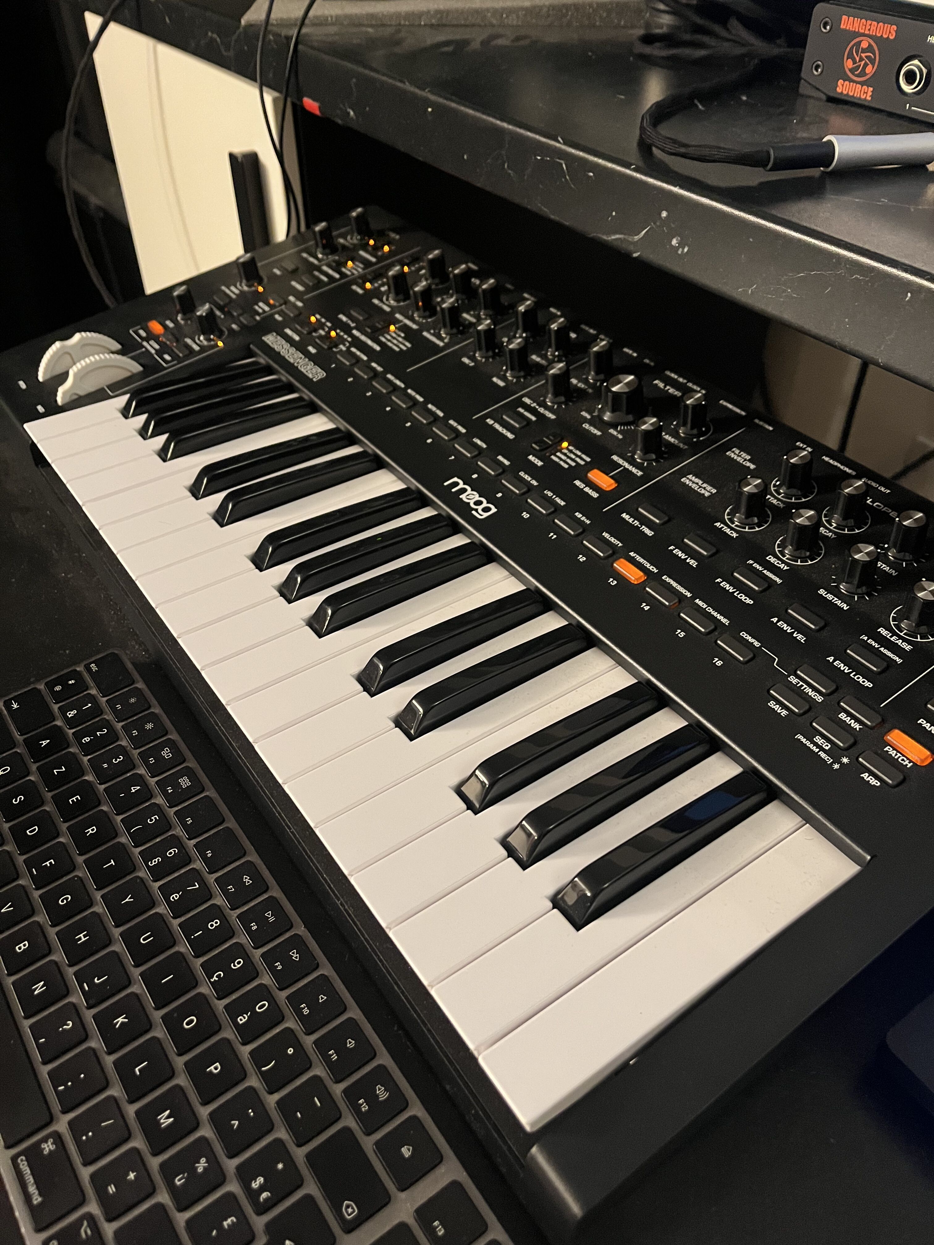 Moog Music Messenger (40540)