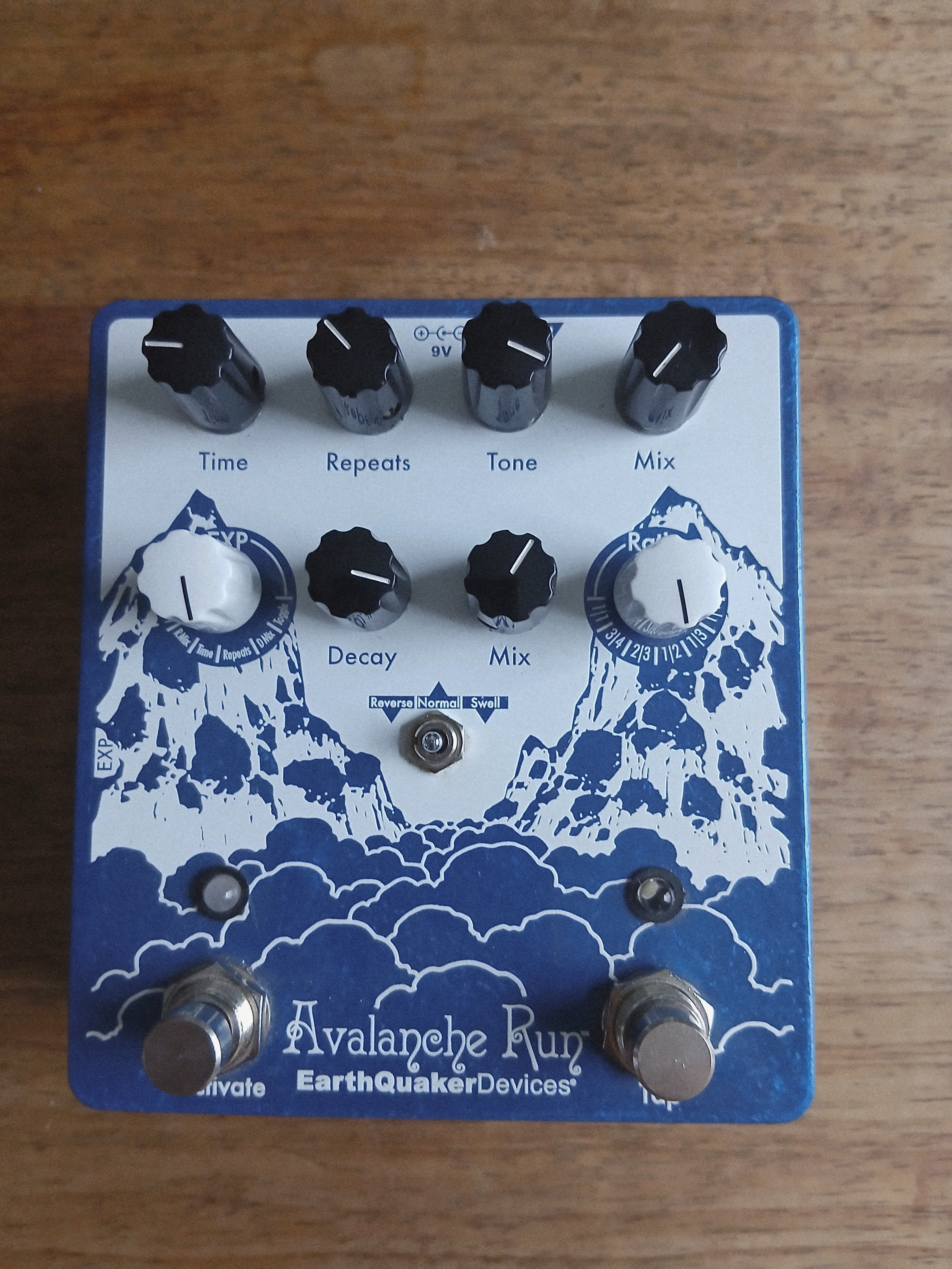 Avalanche Run - Earthquaker Devices