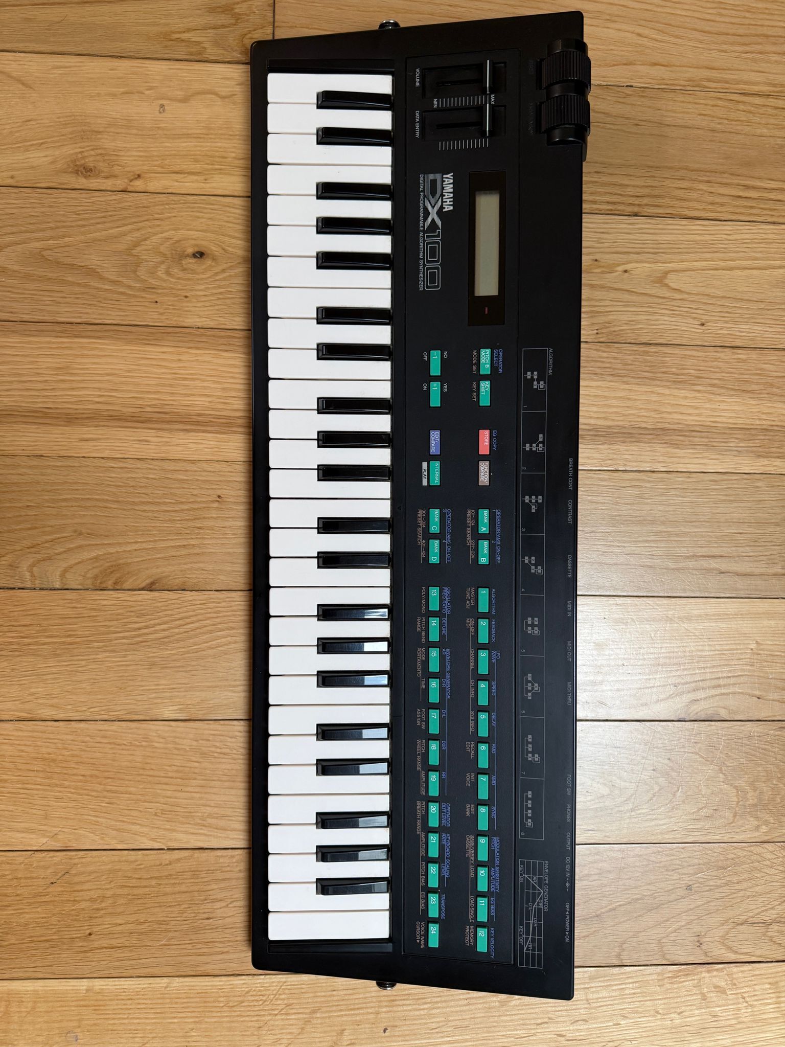 Yamaha DX100 (87244)