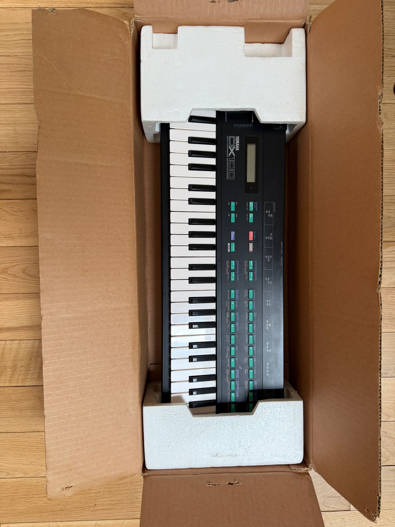 Yamaha DX100 (85182)