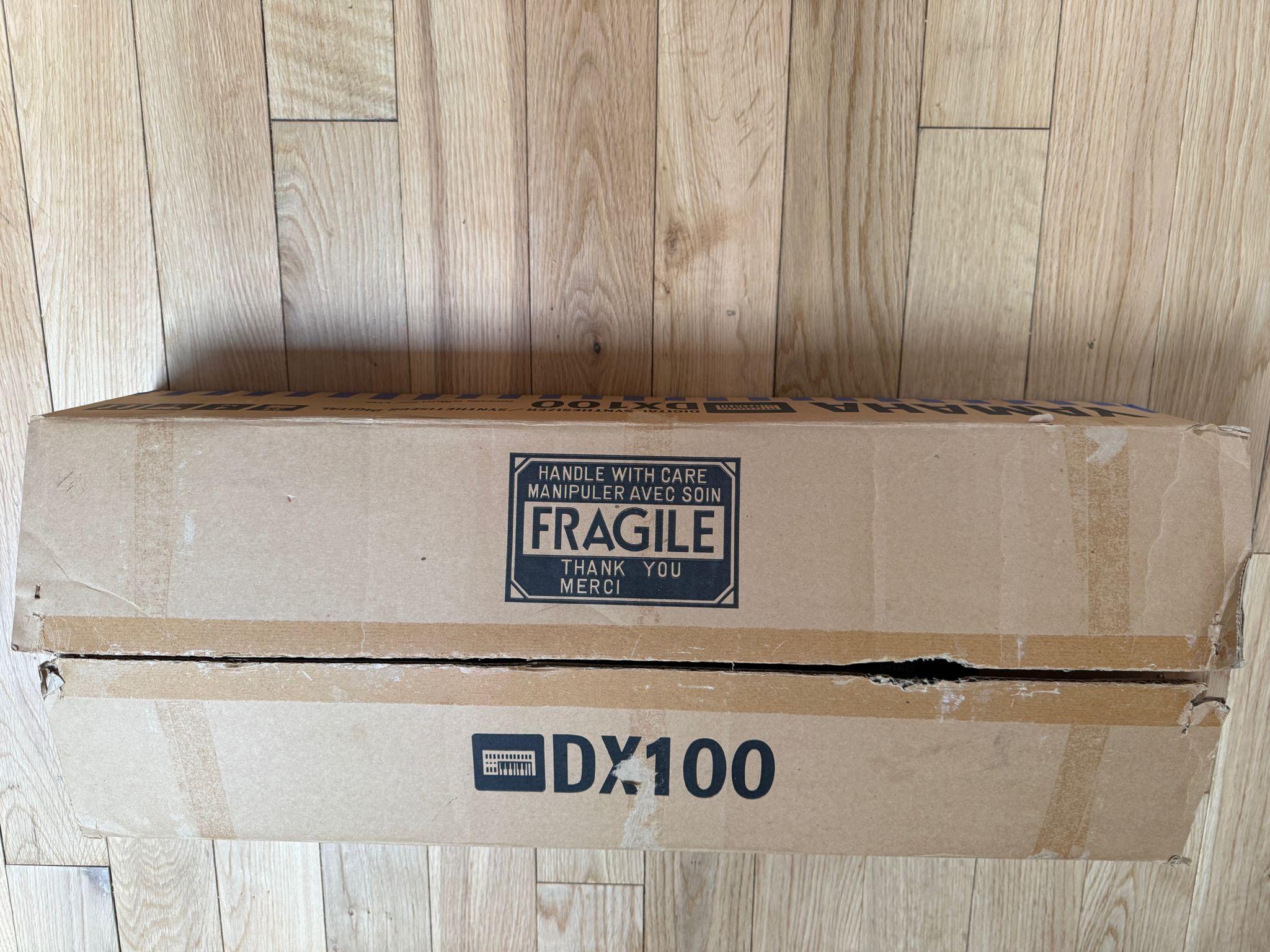 Yamaha DX100 (73238)