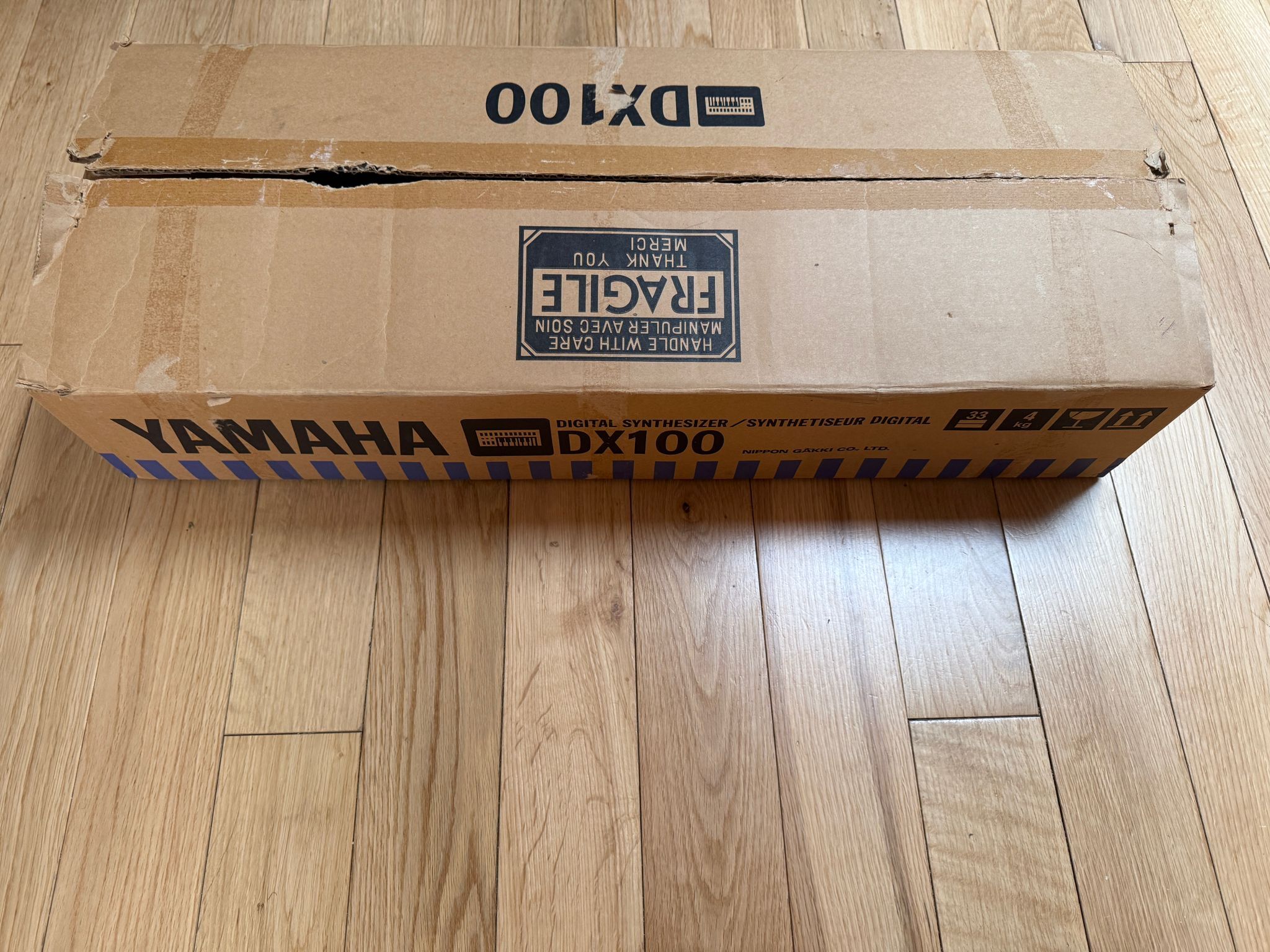 Yamaha DX100 (90934)