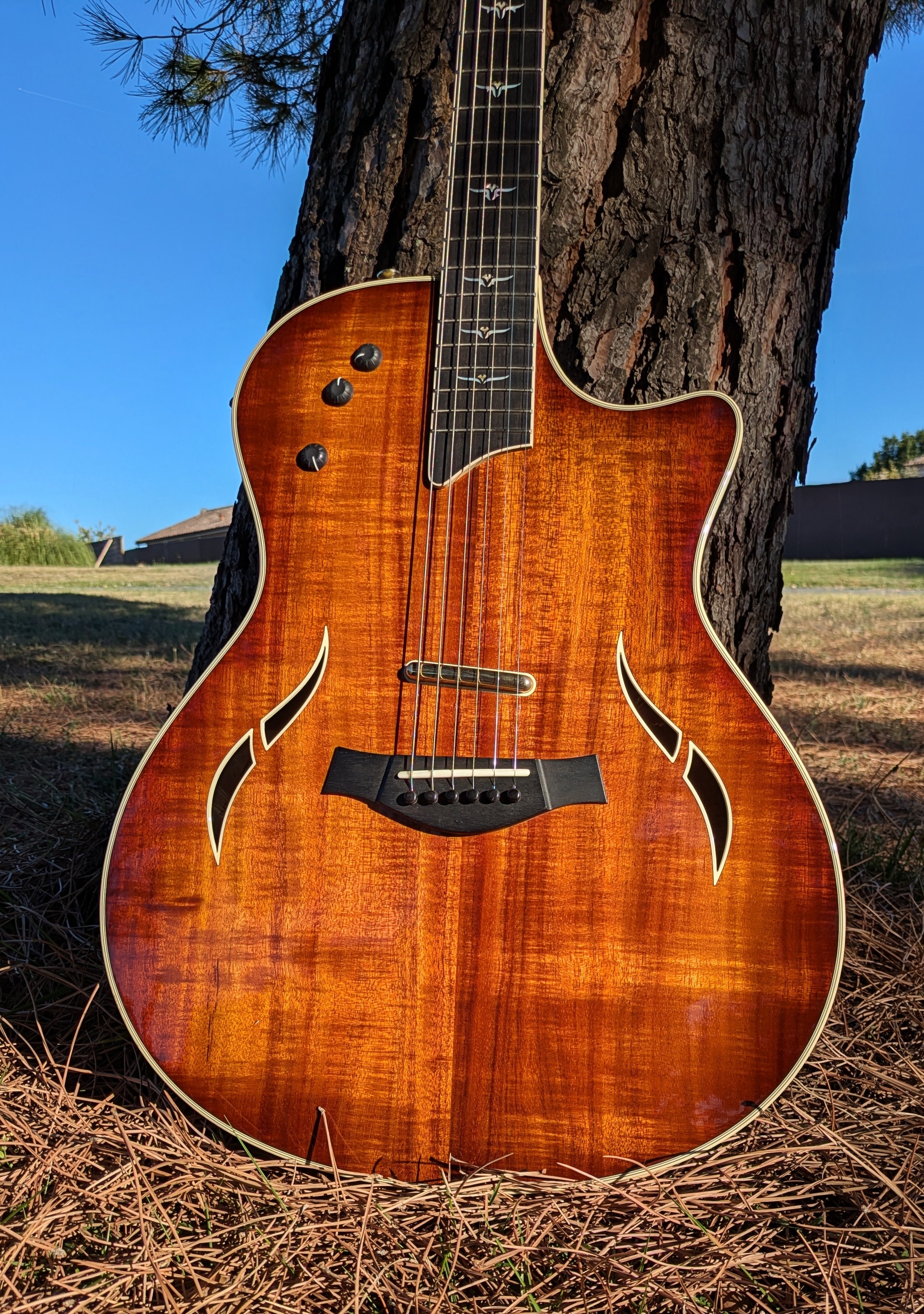 TAYLOR T5 C2 Custom KOA 2005