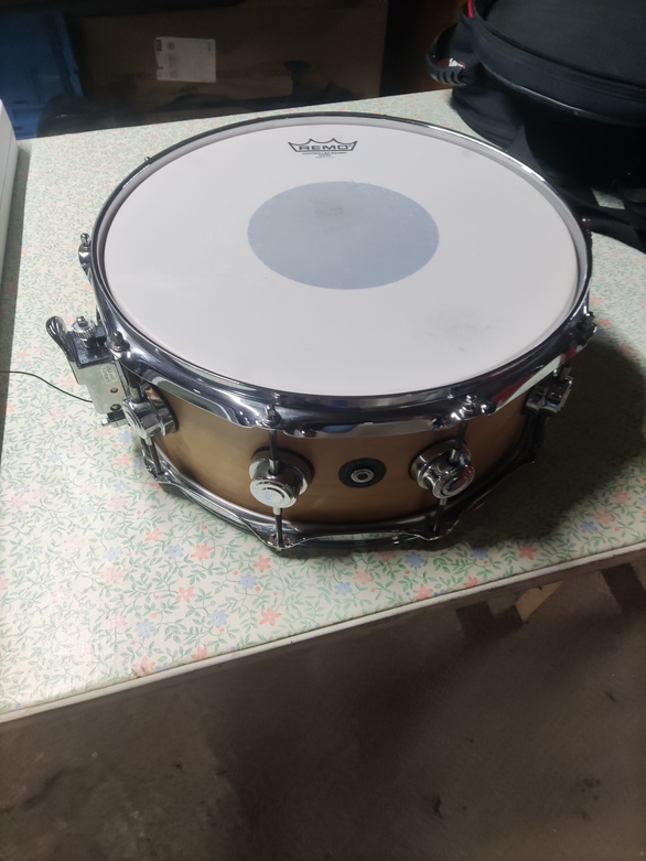 DW Collector's Series – Ten & Six All Maple – 14" × 5,5" – Natural Maple