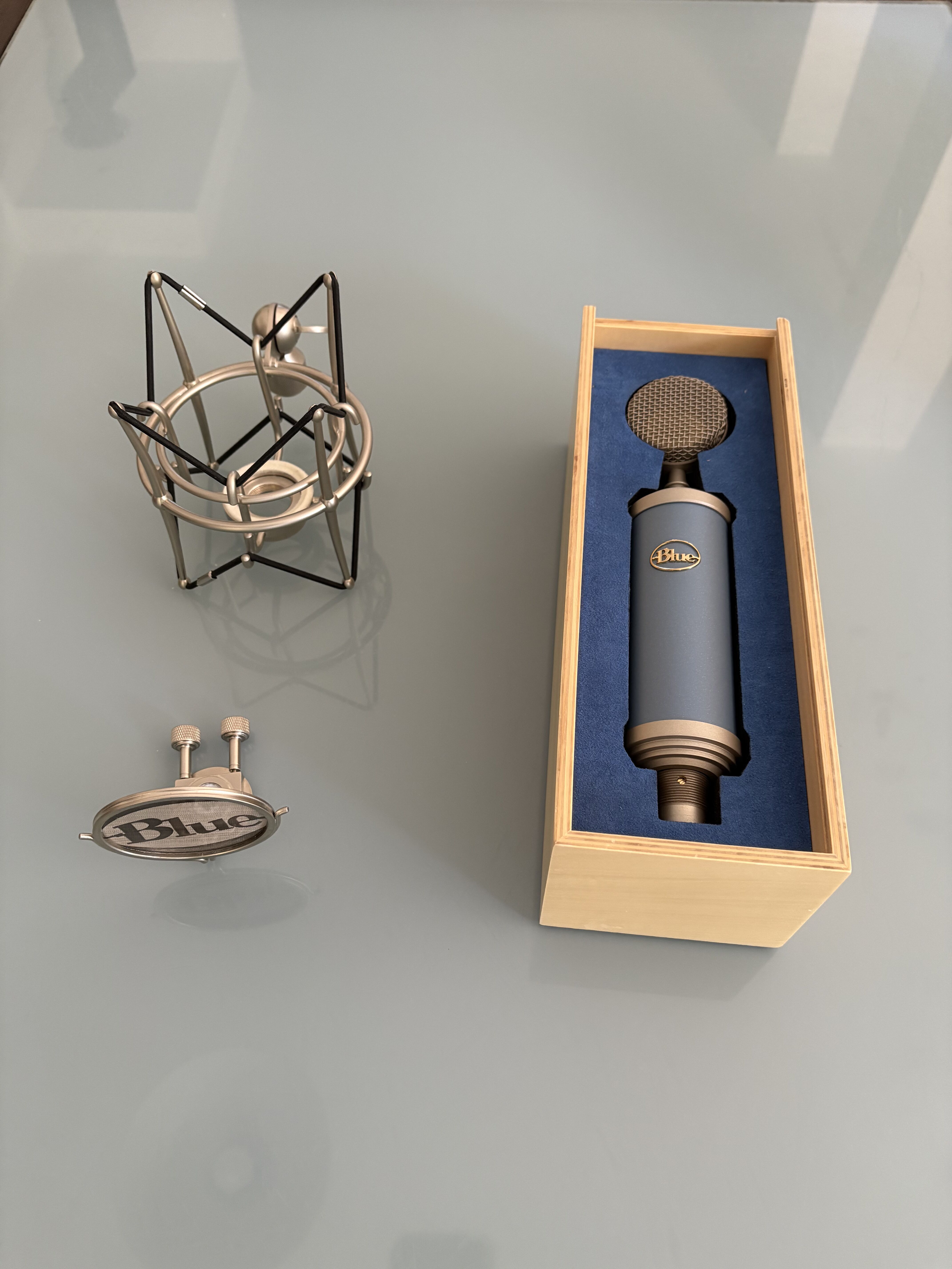 Microphone Bluebird