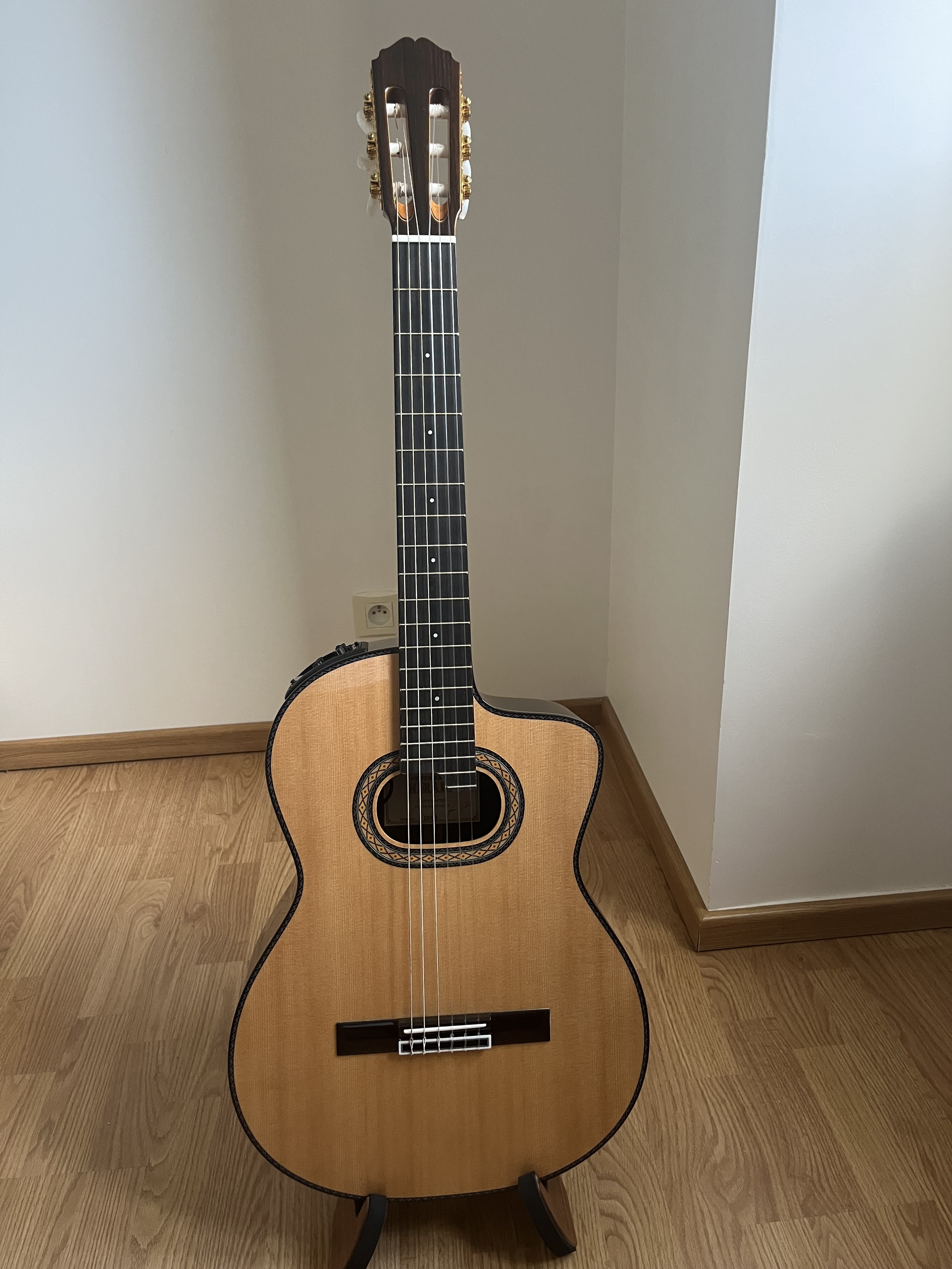 GUITARE TAKAMINE DH90"Hirade"
