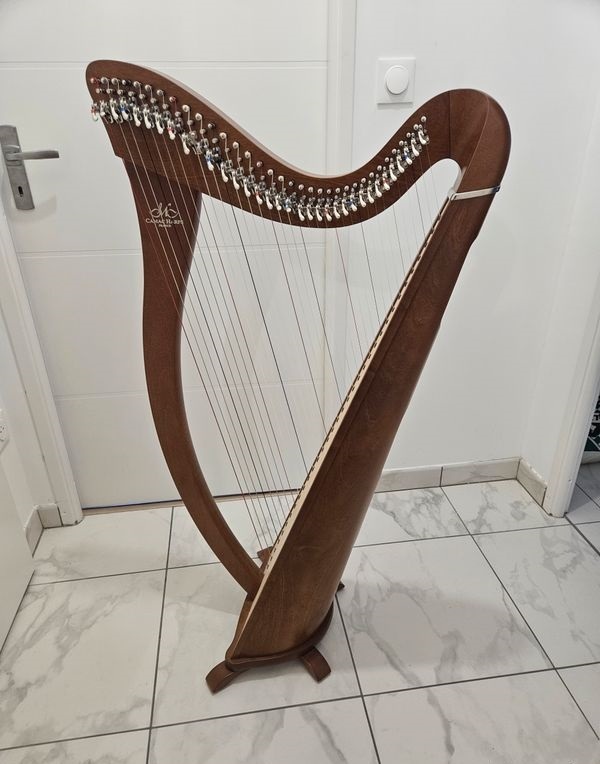 Harpe celtique Camac – Excellent état, idéale débutant