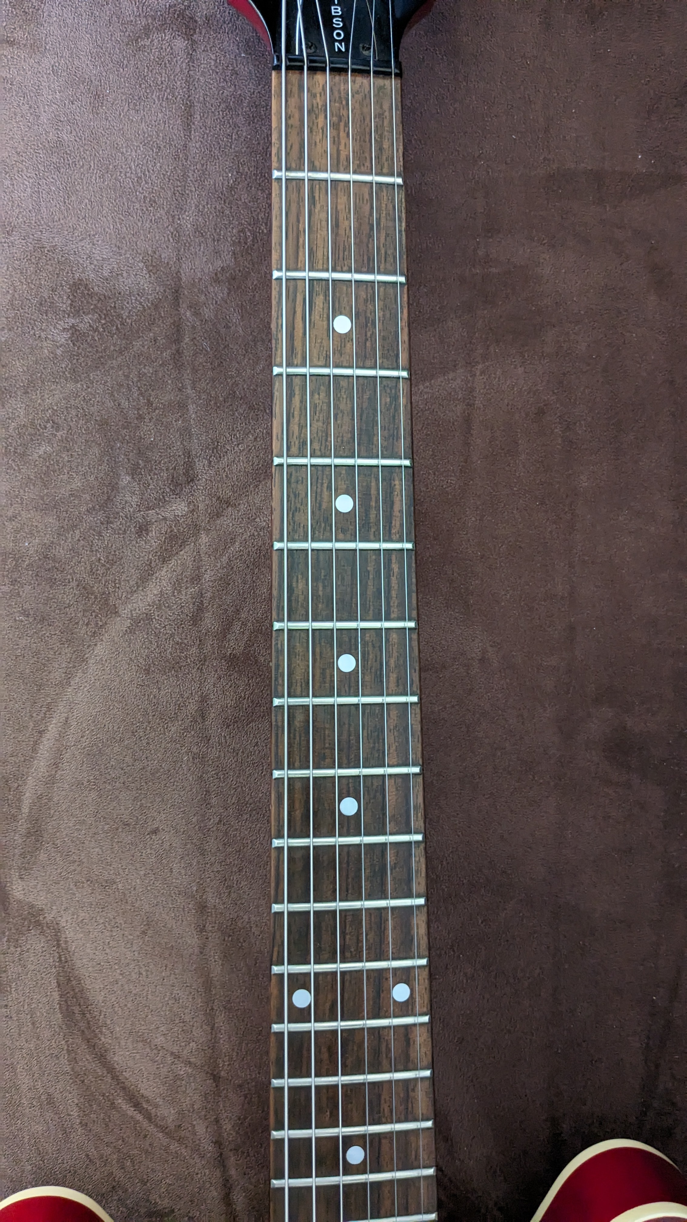 Epiphone The Dot (81463)