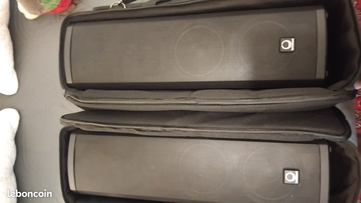 Deux Turbosound IP300 avec Pieds et Sacs de Transport