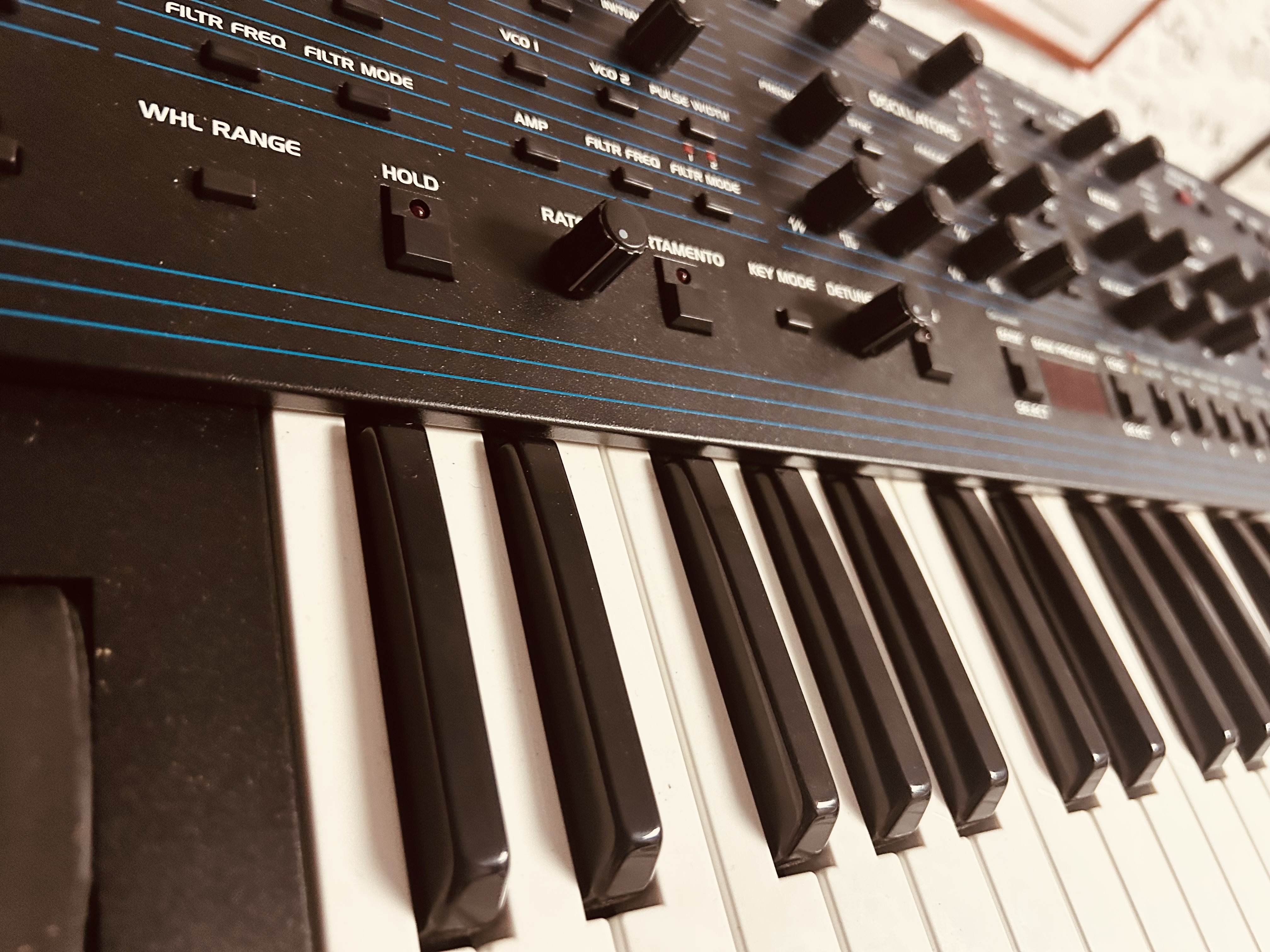 Dave Smith Instruments OB-6 (76255)