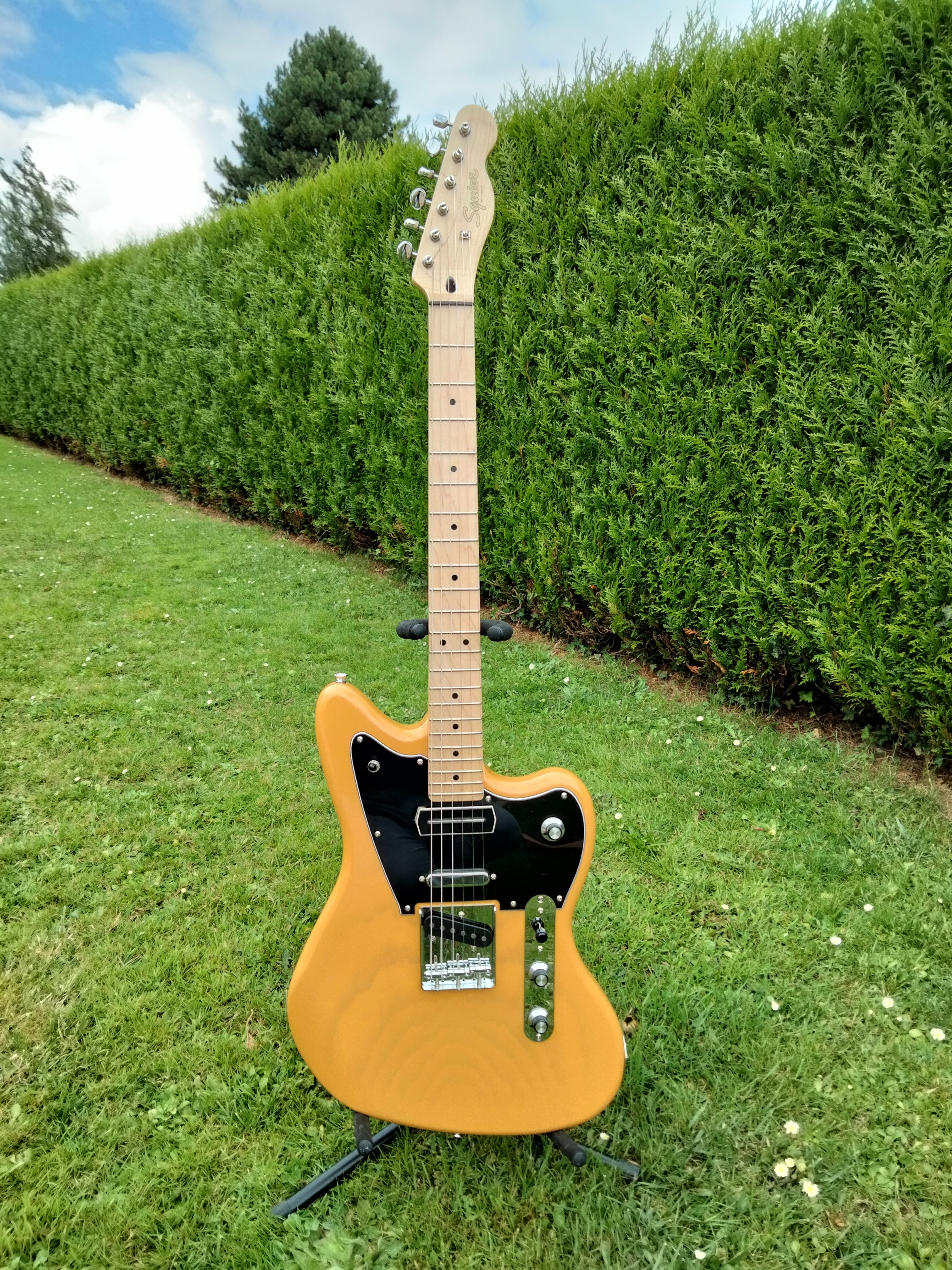 Squier Paranomal telemaster