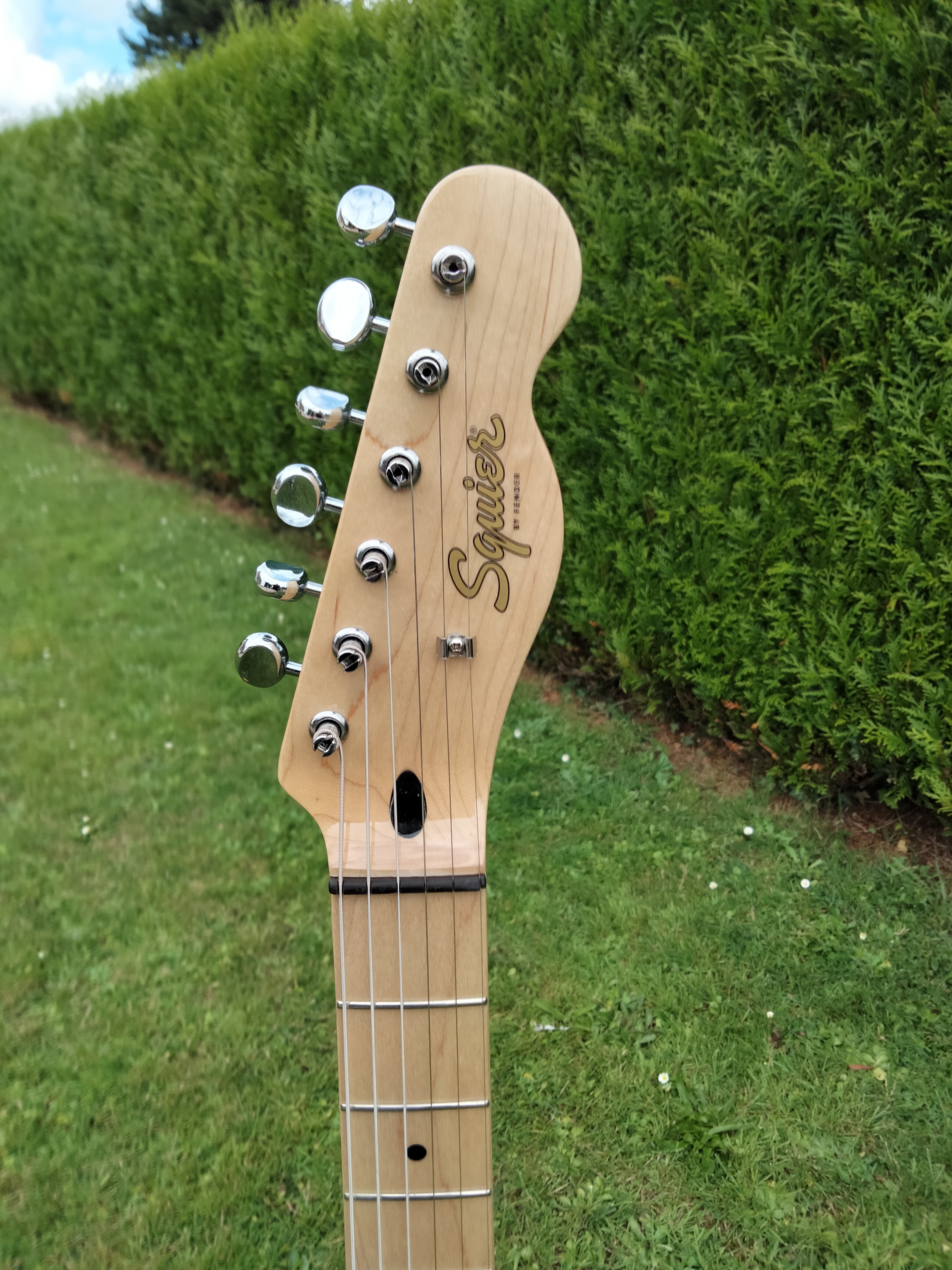 Squier Paranormal Offset Telecaster (98784)