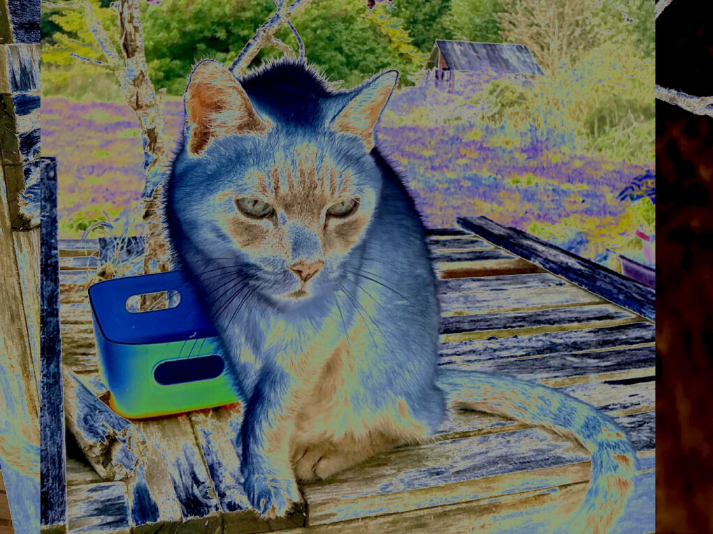 6934438.jpg 6934438.jpg
