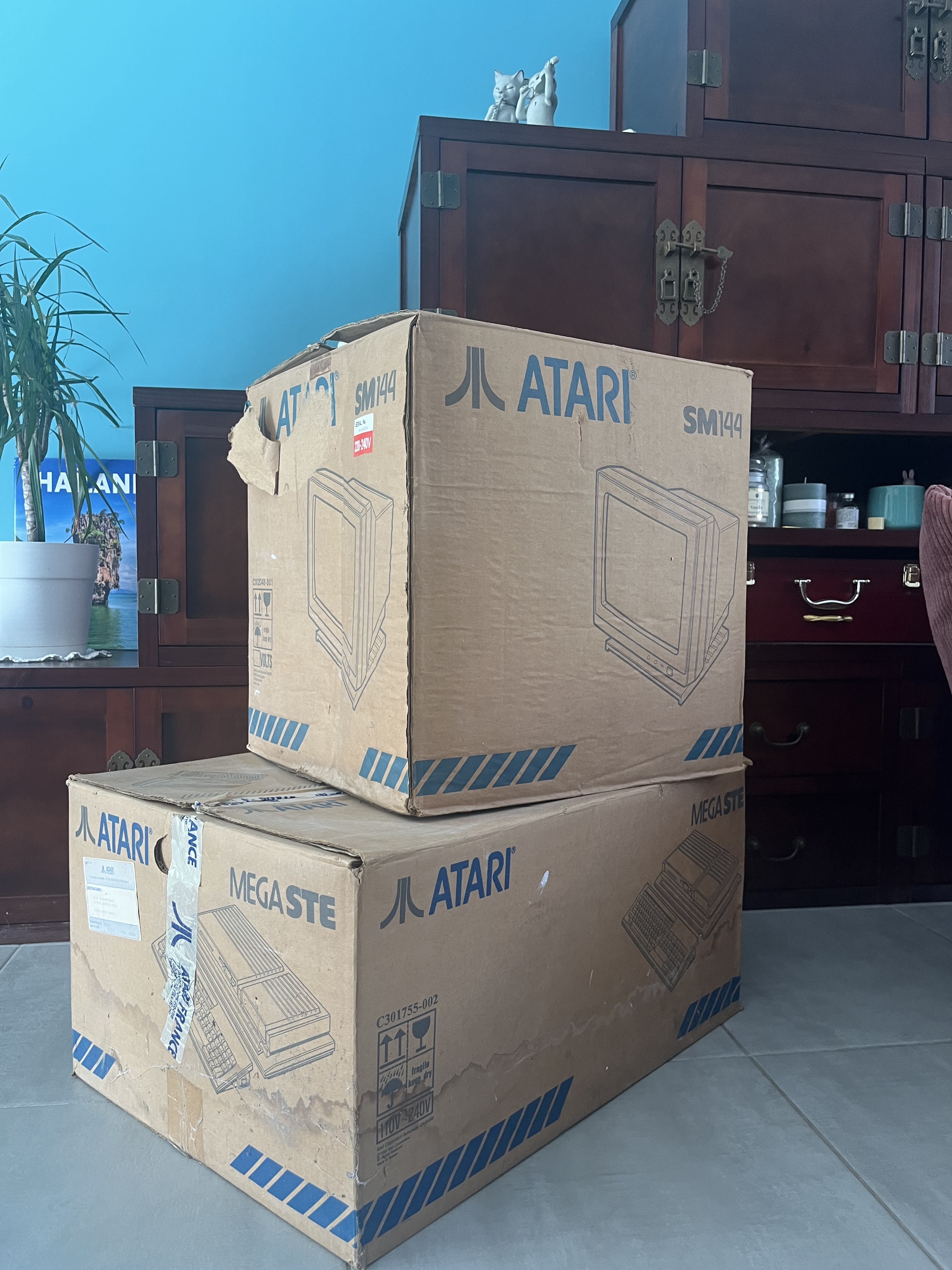 Cartons Atari