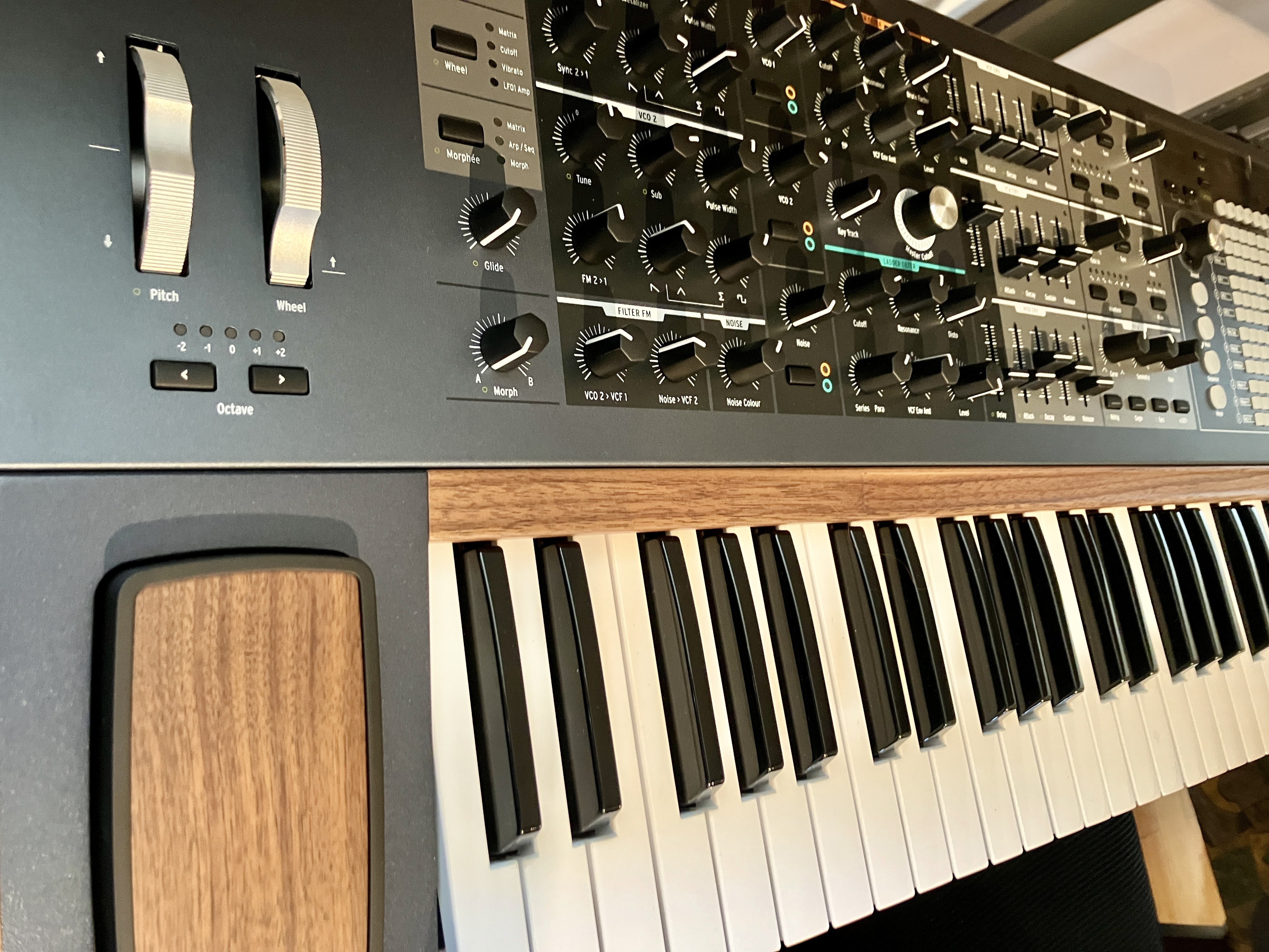 Arturia Polybrute 6 Neuf