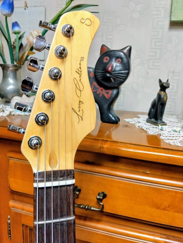 Sire Larry Carlton S3 HSS (33720)