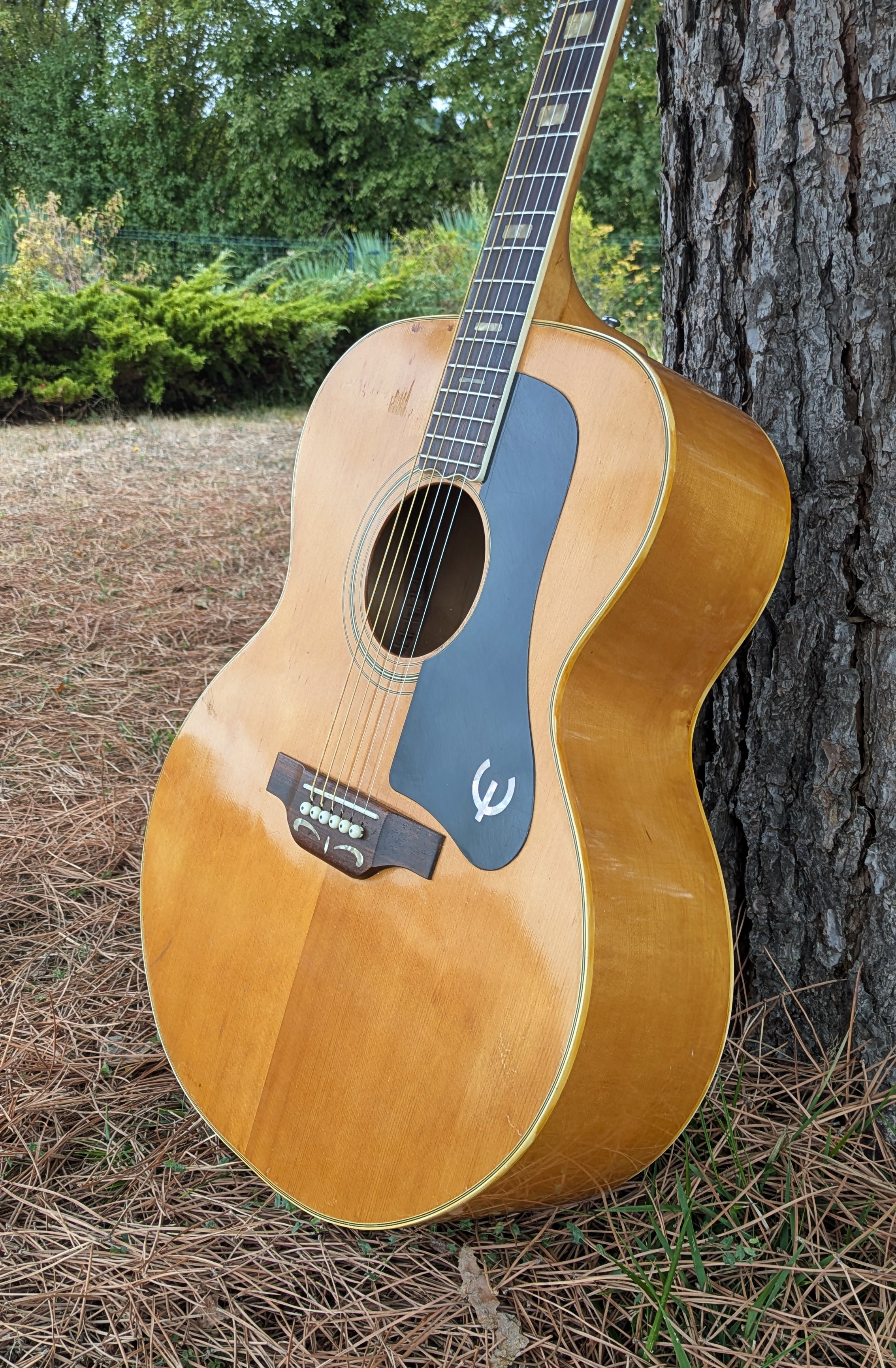 Epiphone FT-570BL JAPAN 1973