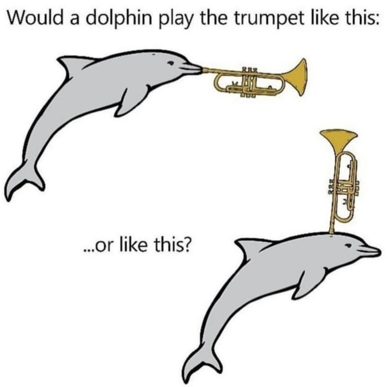 6936413.jpeg 6936413.jpeg