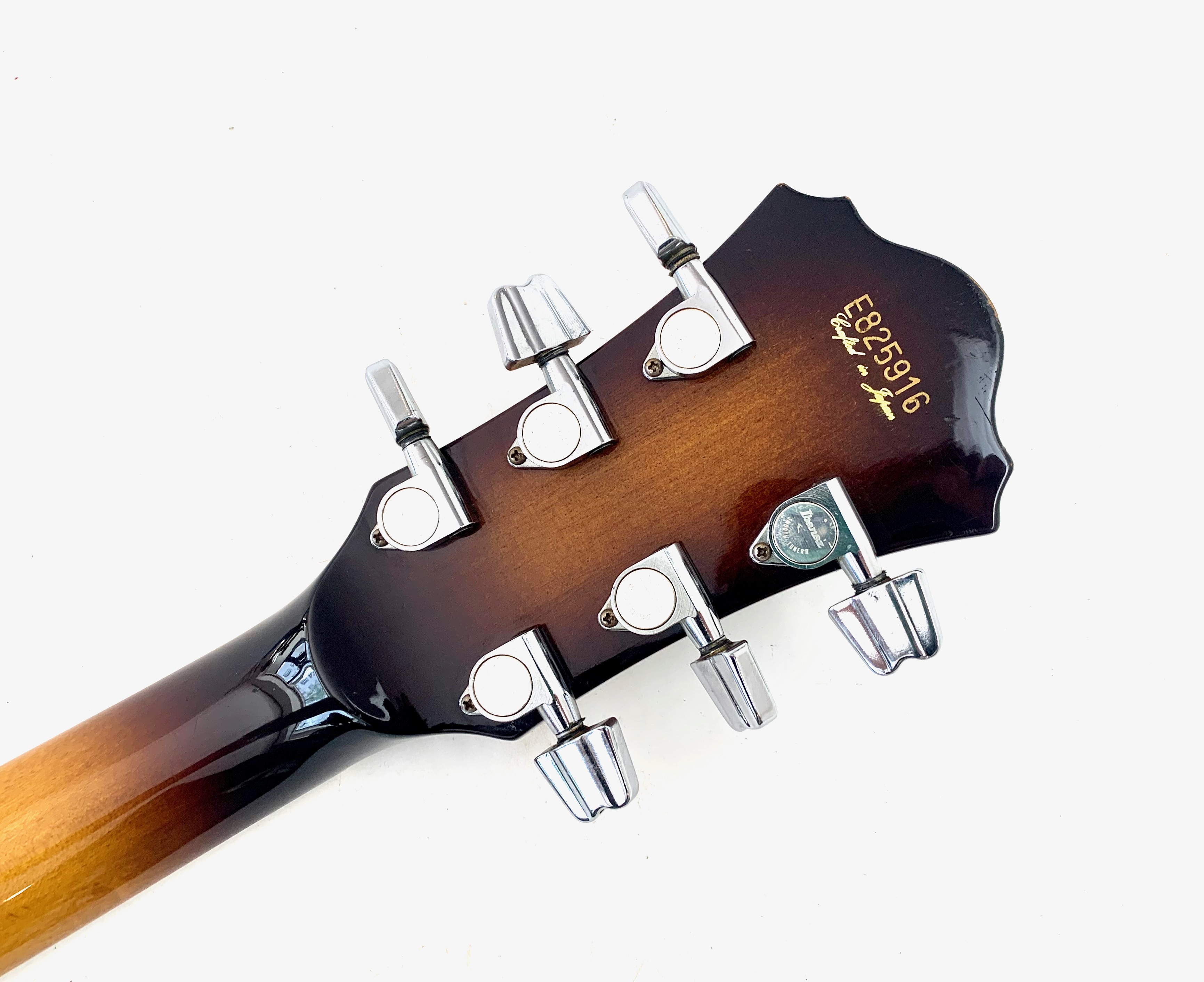 Ibanez FG100 (19457)