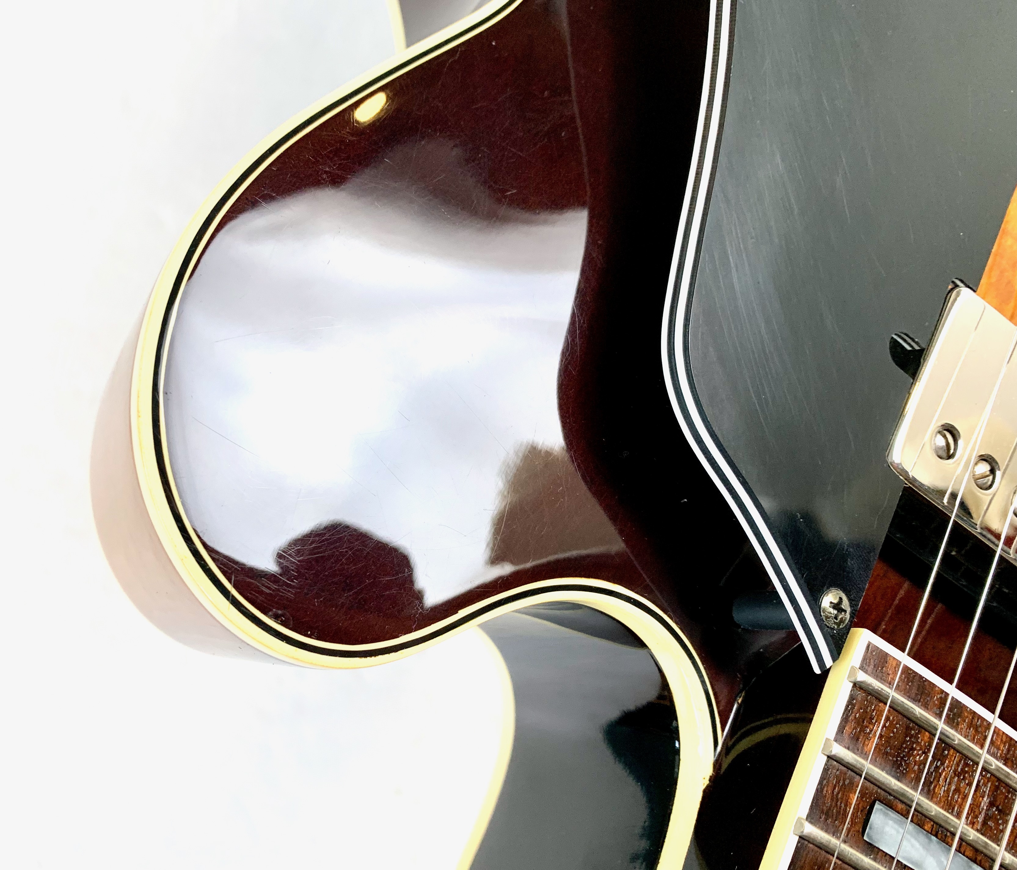 Ibanez FG100 (31403)