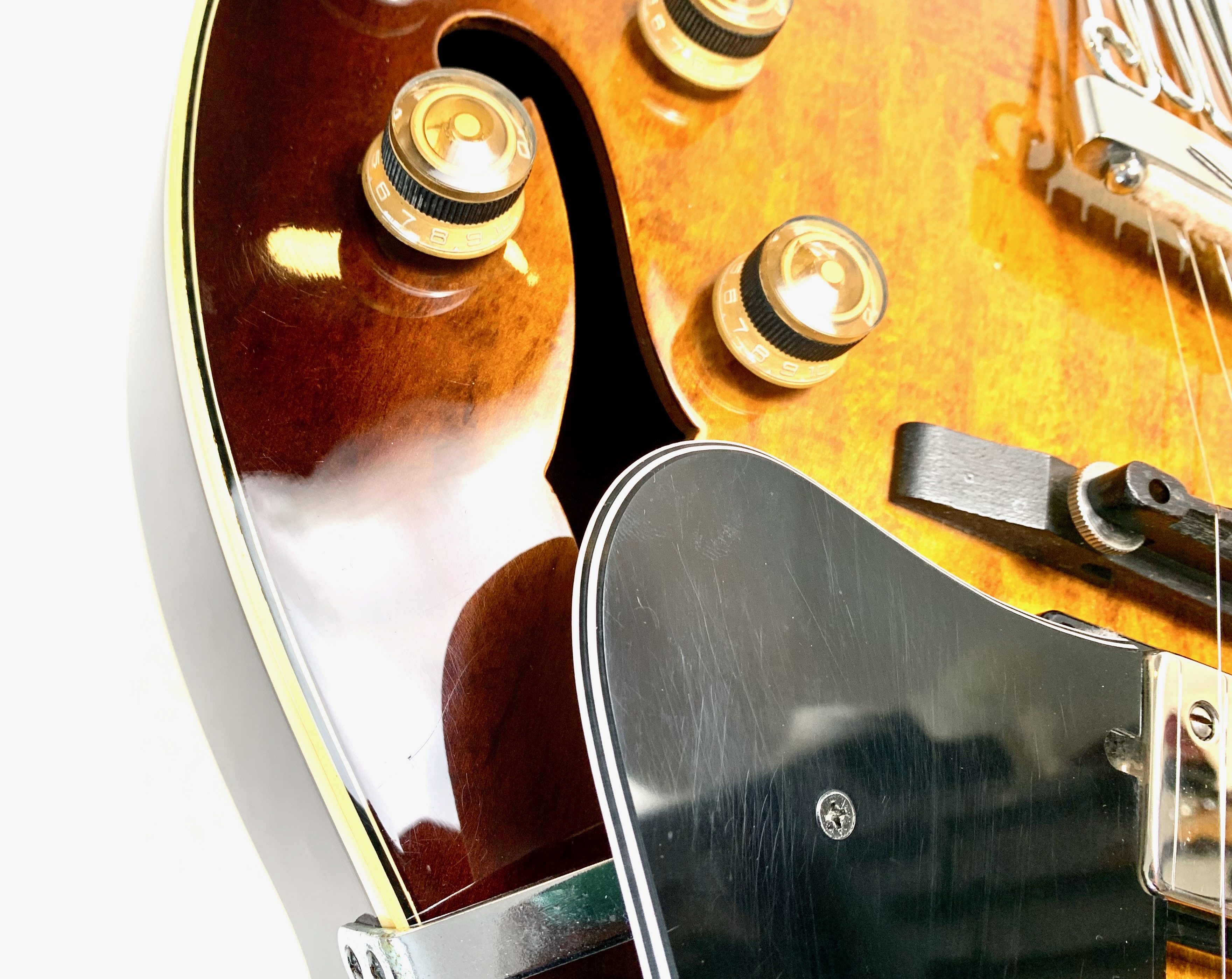 Ibanez FG100 (3704)