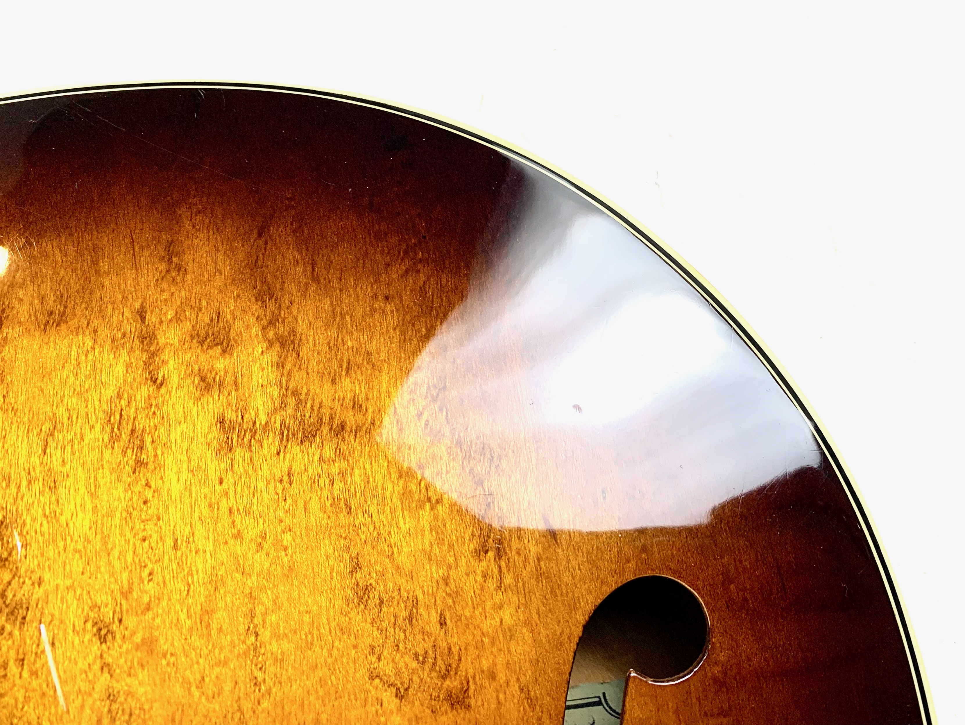 Ibanez FG100 (10993)