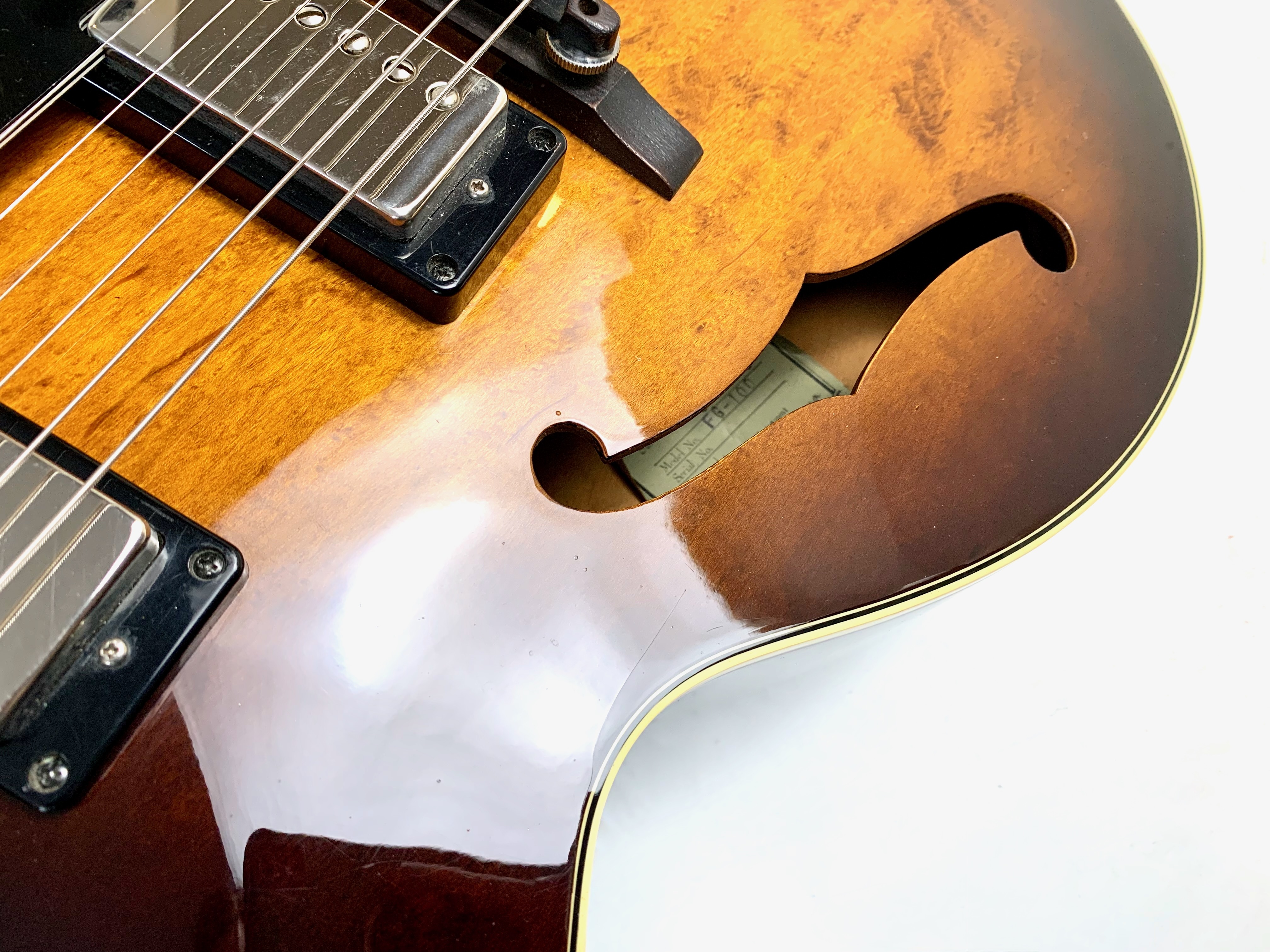 Ibanez FG100 (3077)