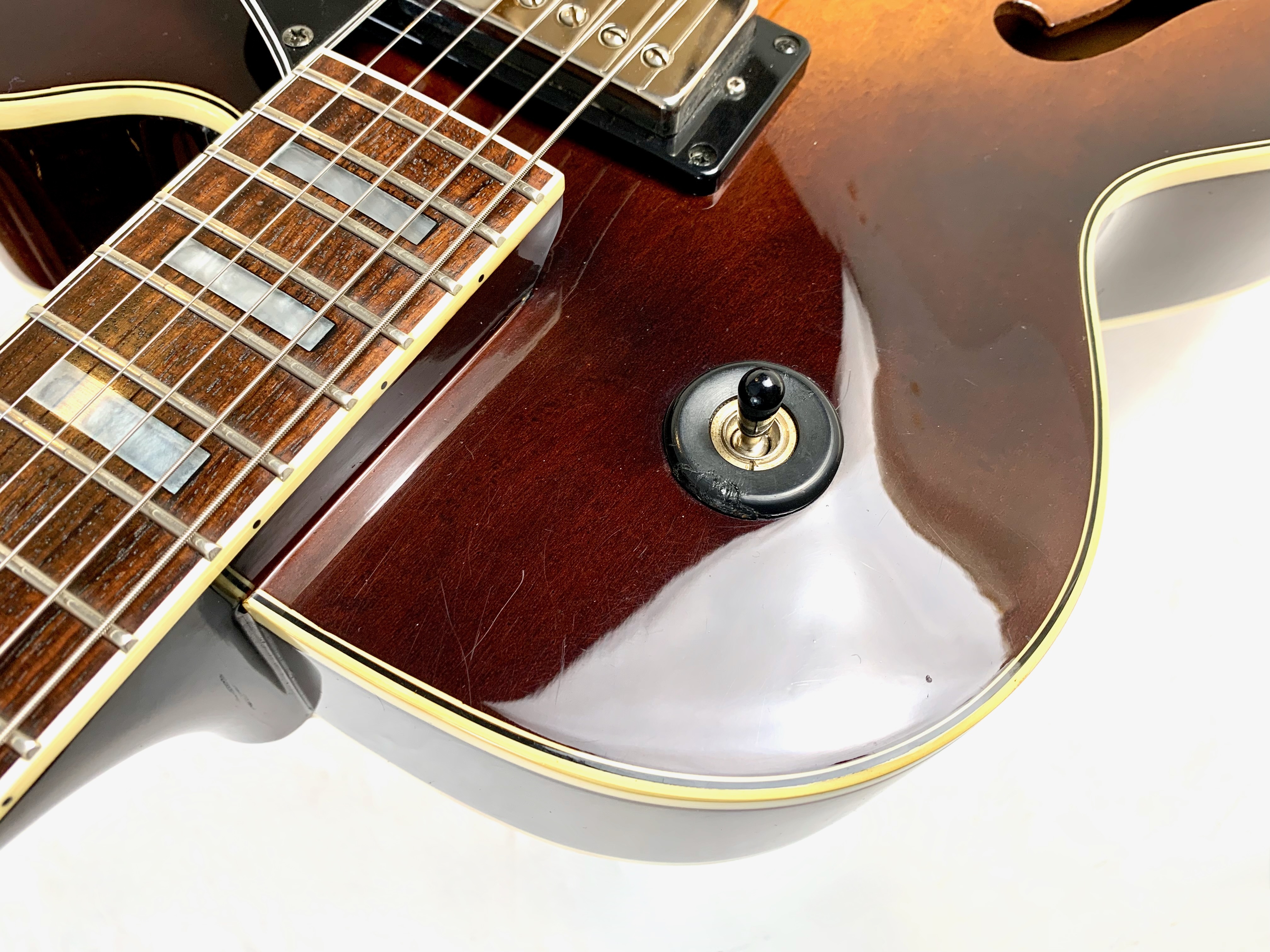 Ibanez FG100 (61936)