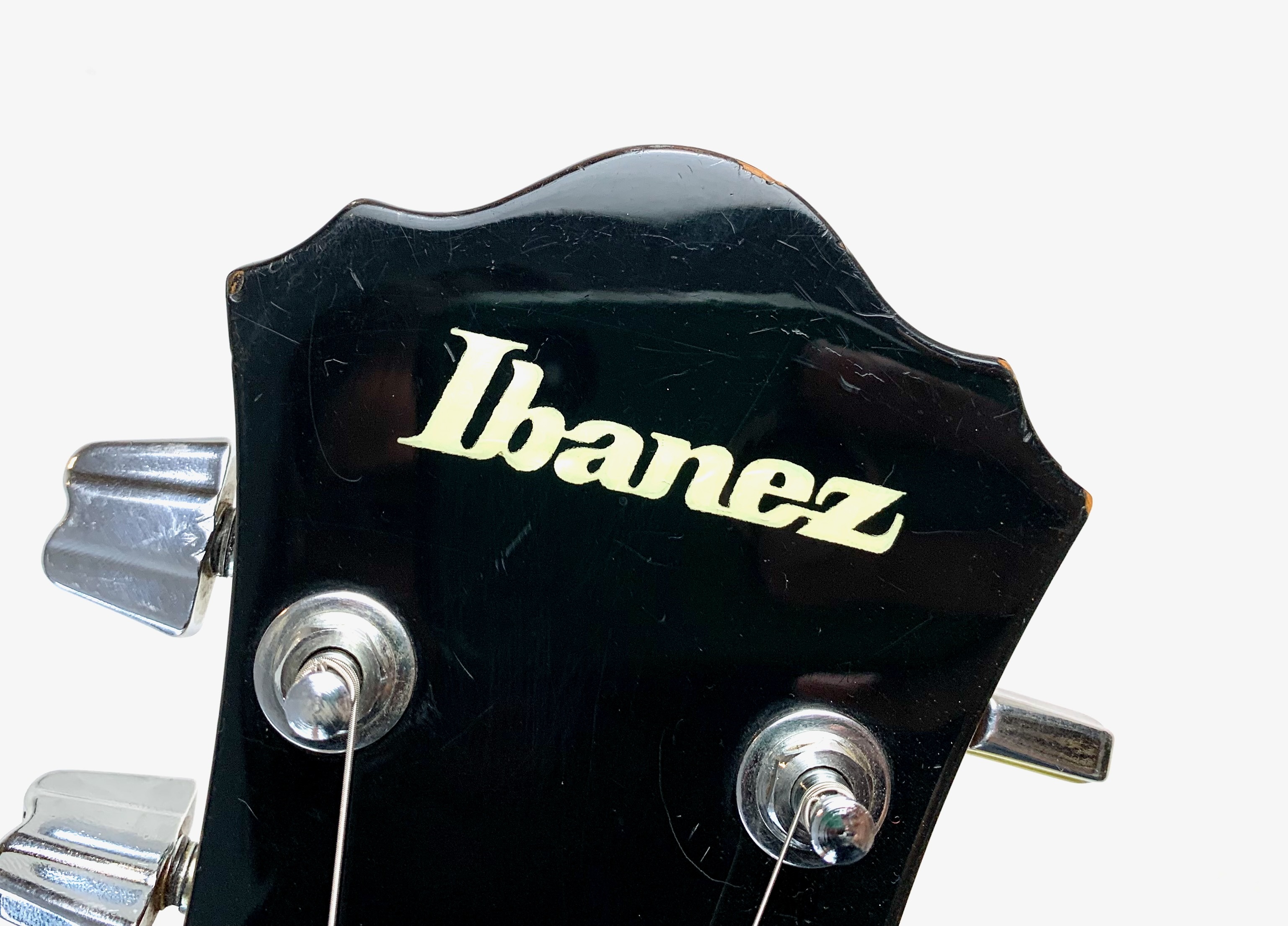 Ibanez FG100 (84384)