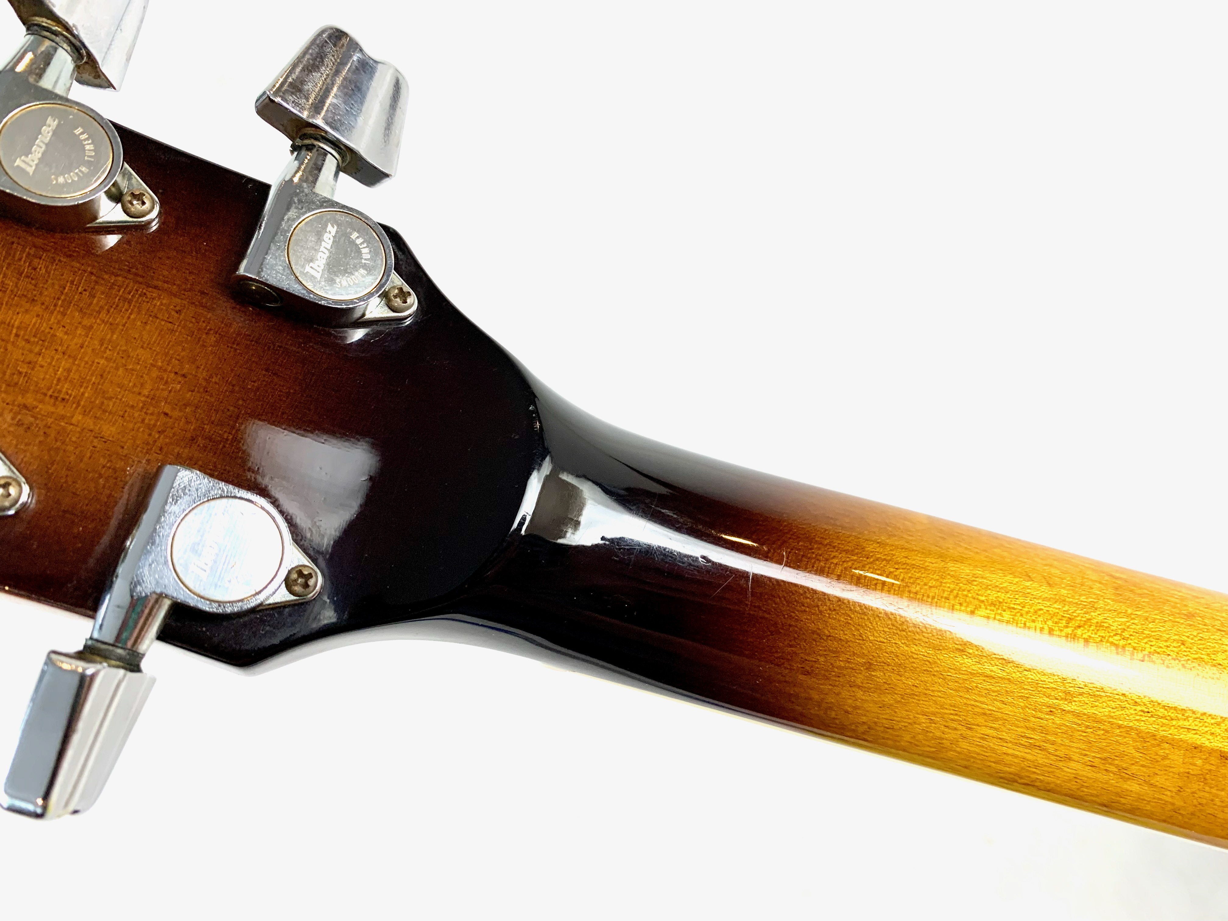 Ibanez FG100 (52541)