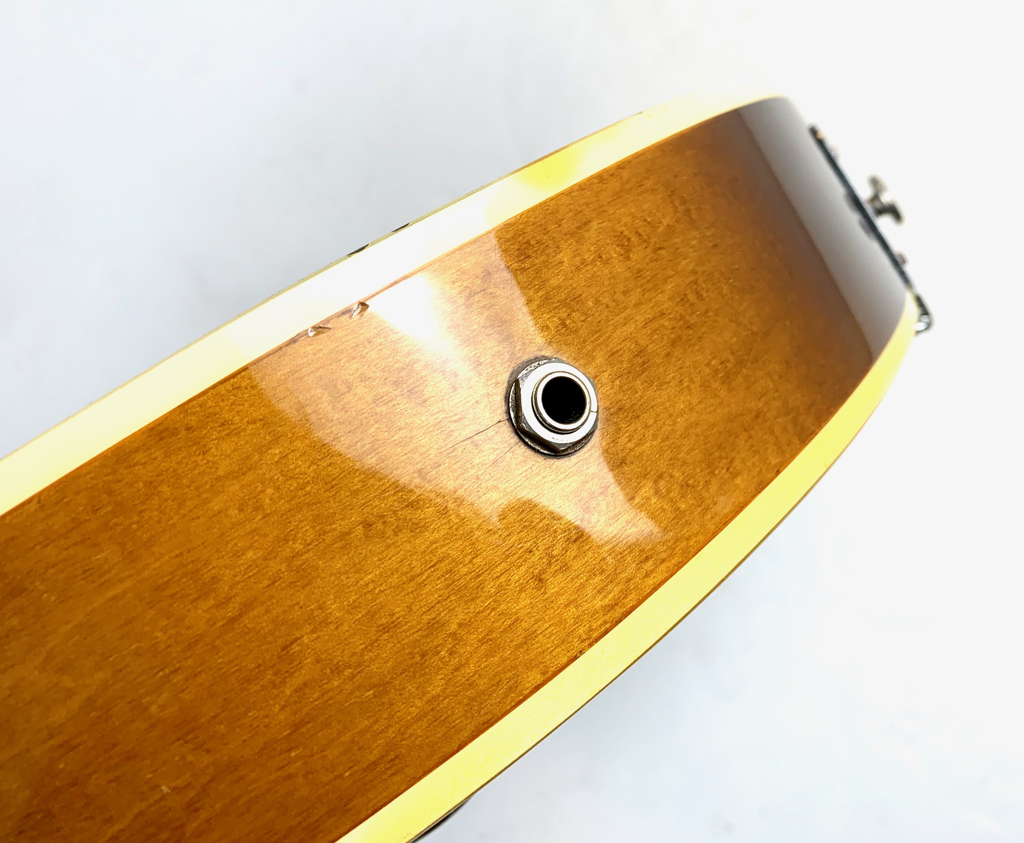 Ibanez FG100 (69934)