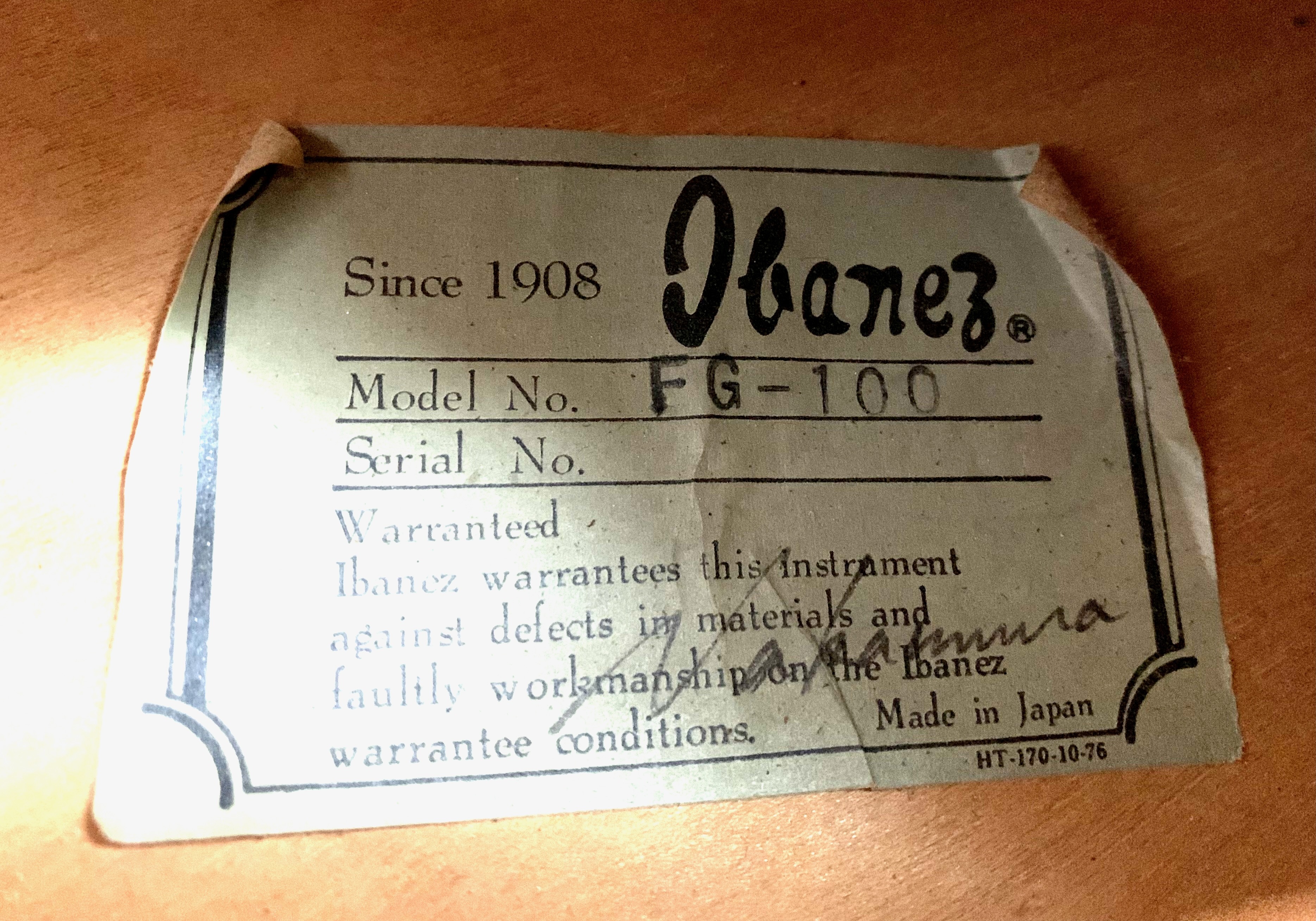 Ibanez FG100 (94334)