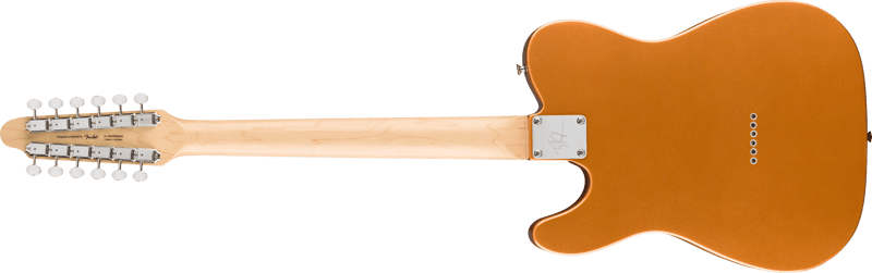 Paranormal Troy Van Leeuwen Telecaster XIIREAR