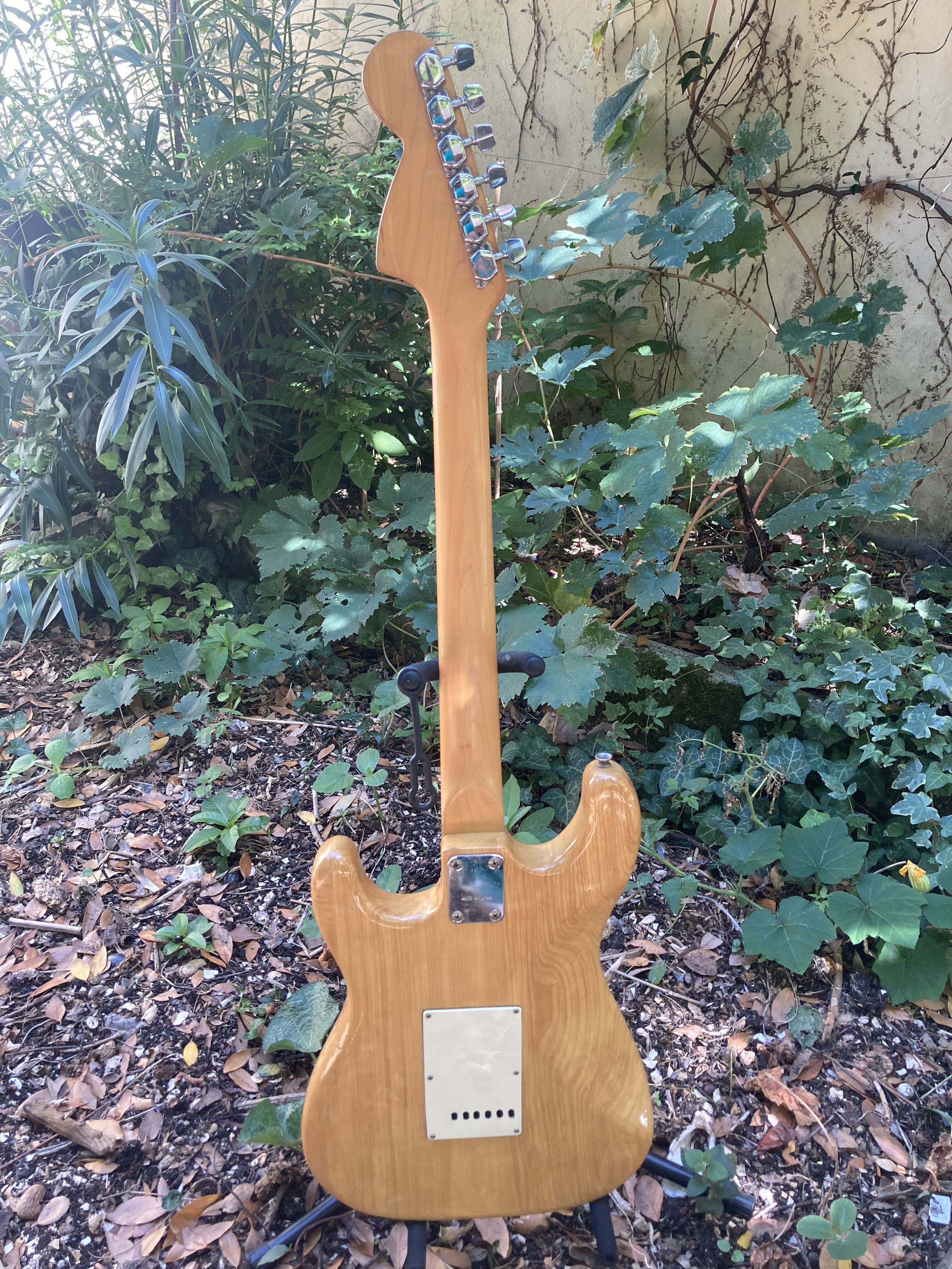 03 Almirez Stratocaster Full Back