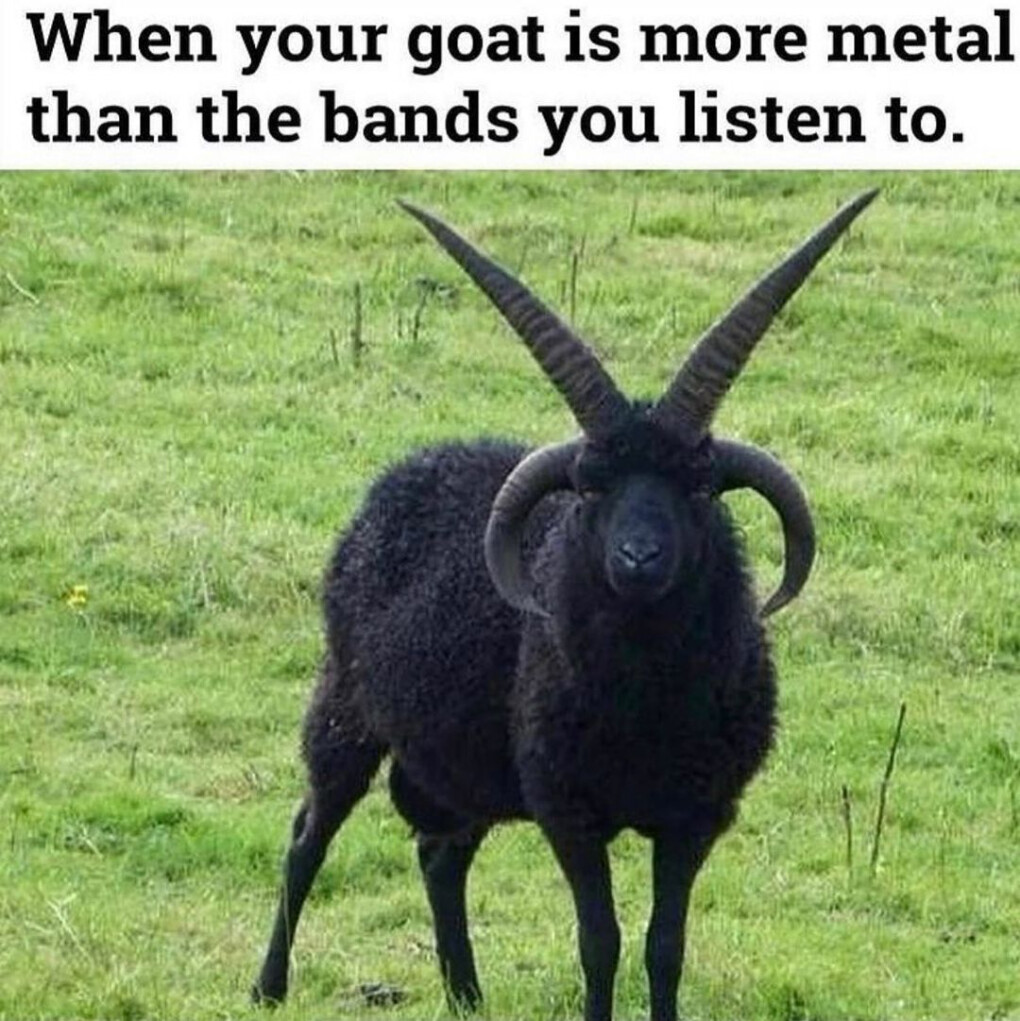 6937144.jpeg 6937144.jpeg