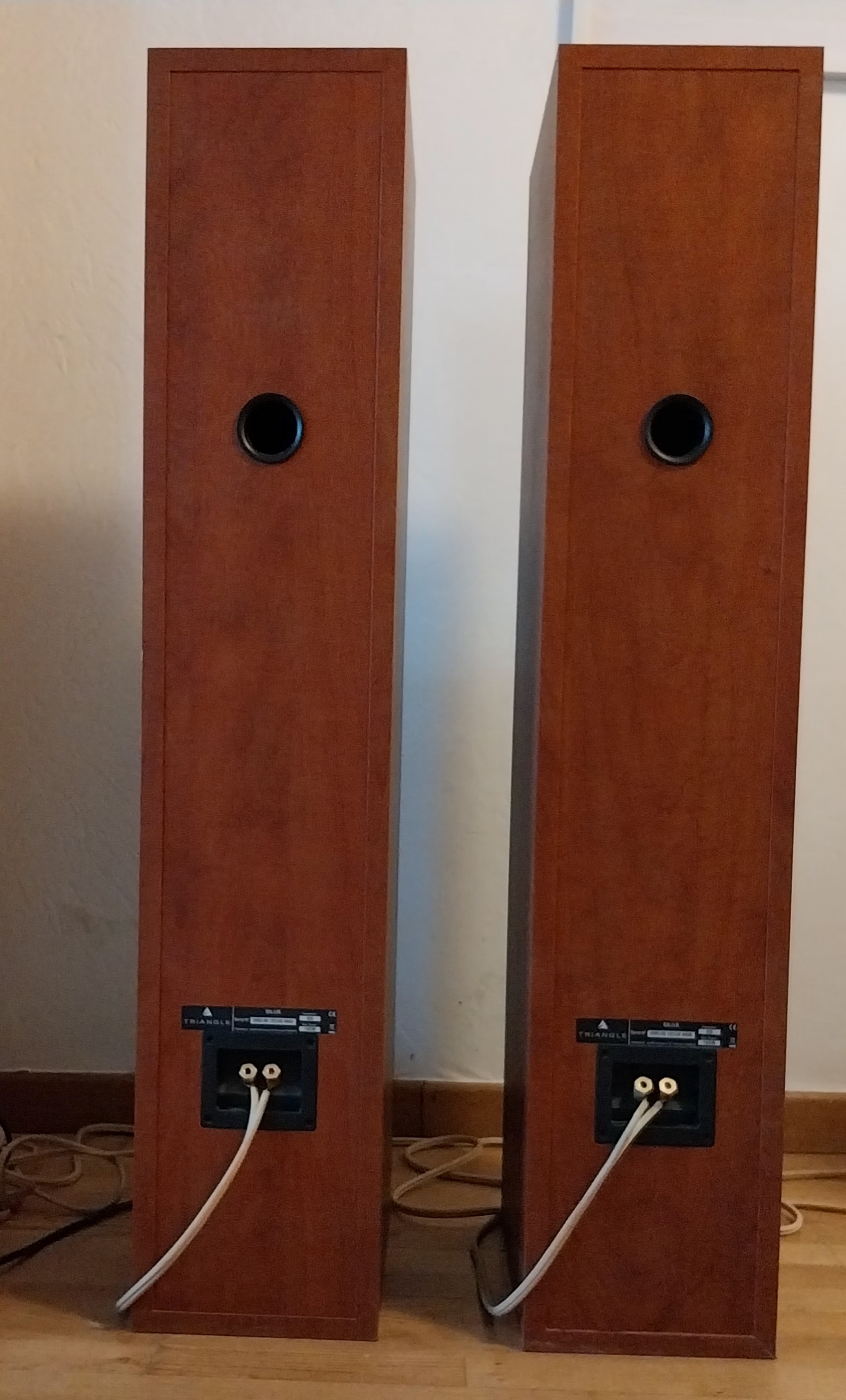 Copie de Silus arrière