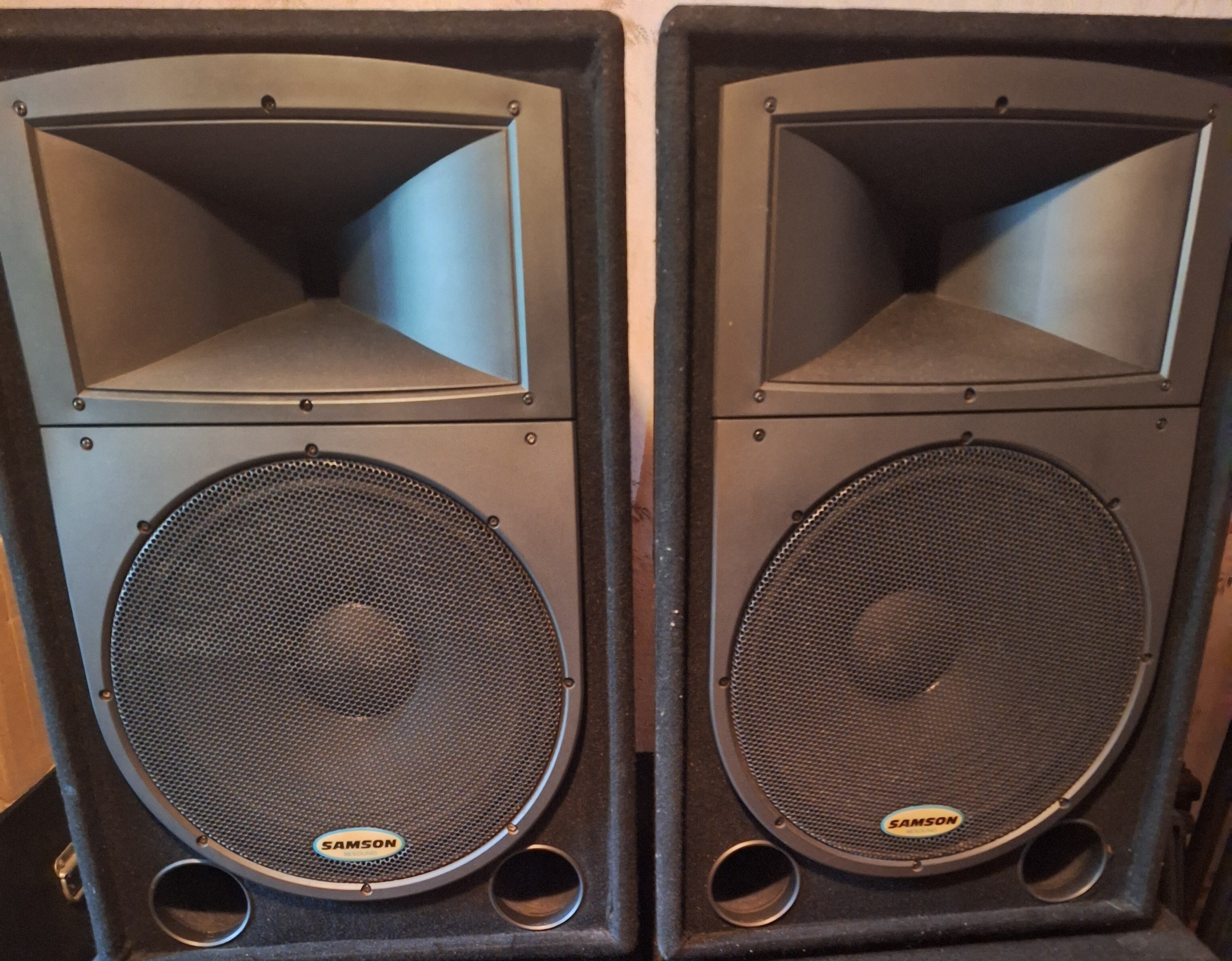 Samson RS15