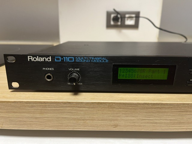 Roland D-110 (86584)