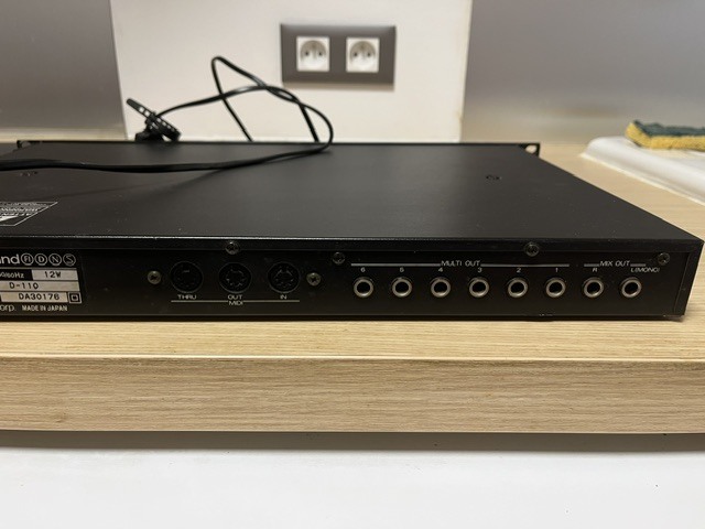 Roland D-110 (89758)